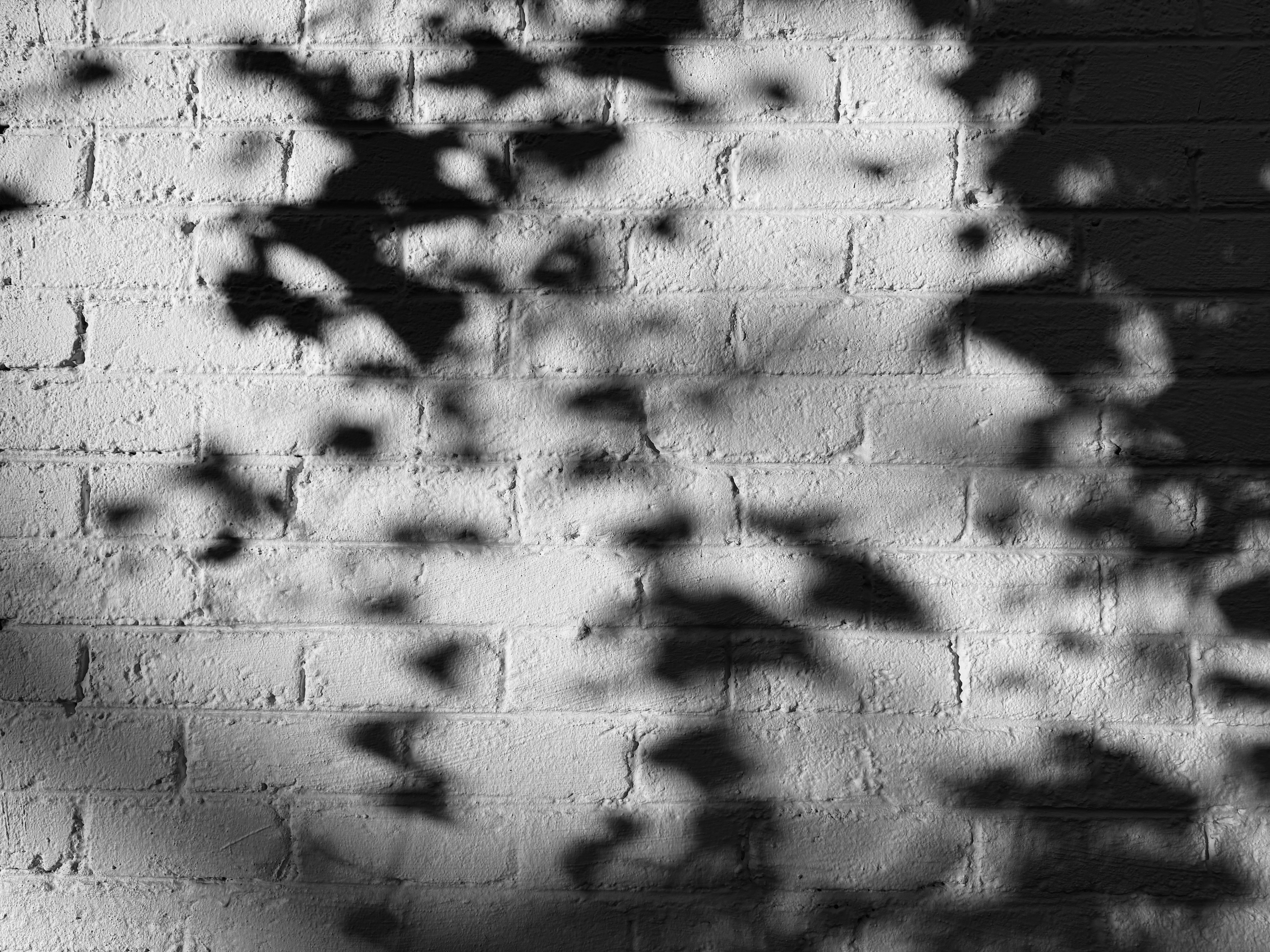 Photo by jonathanburger