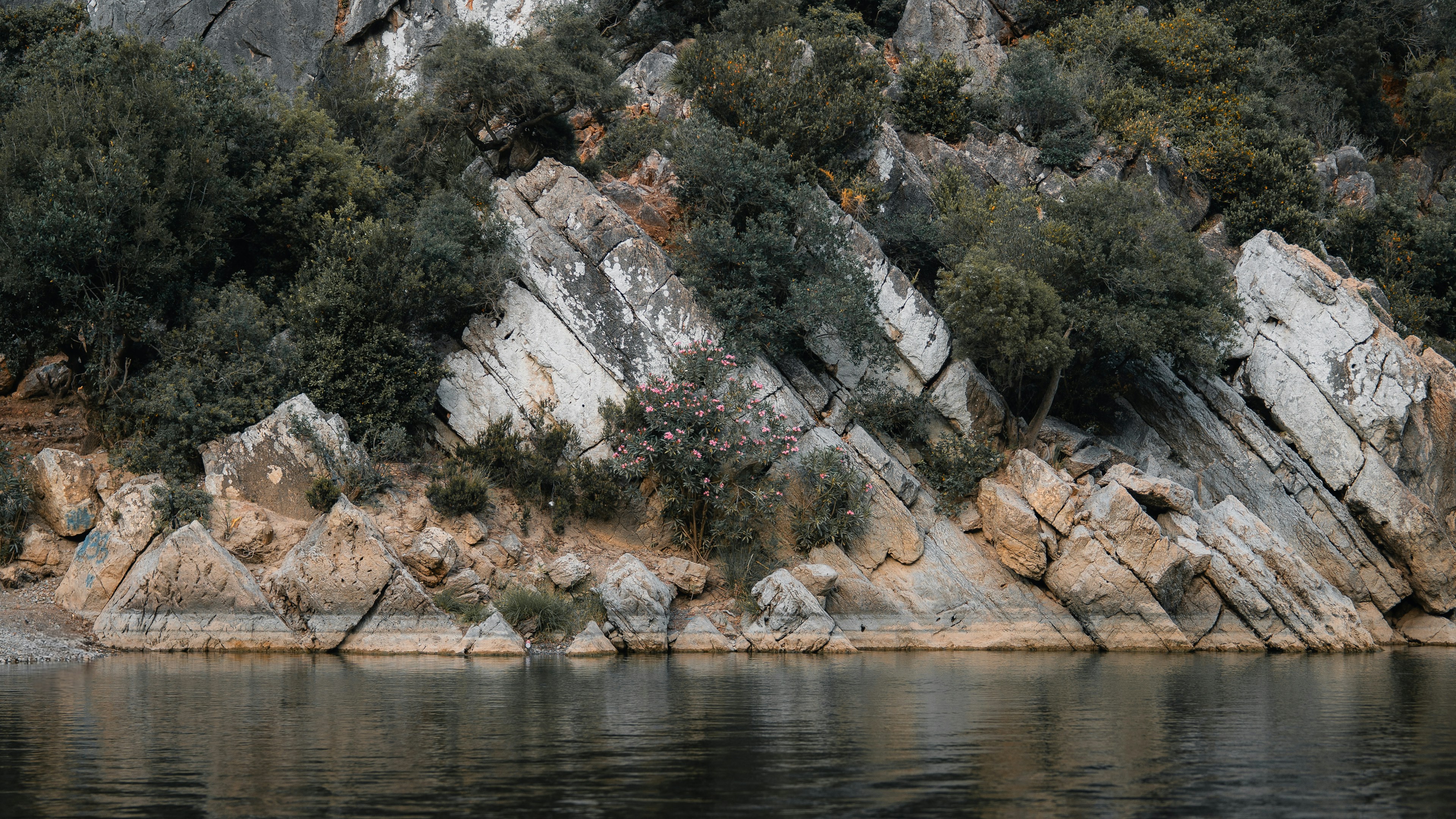 Photo by theemanofoth