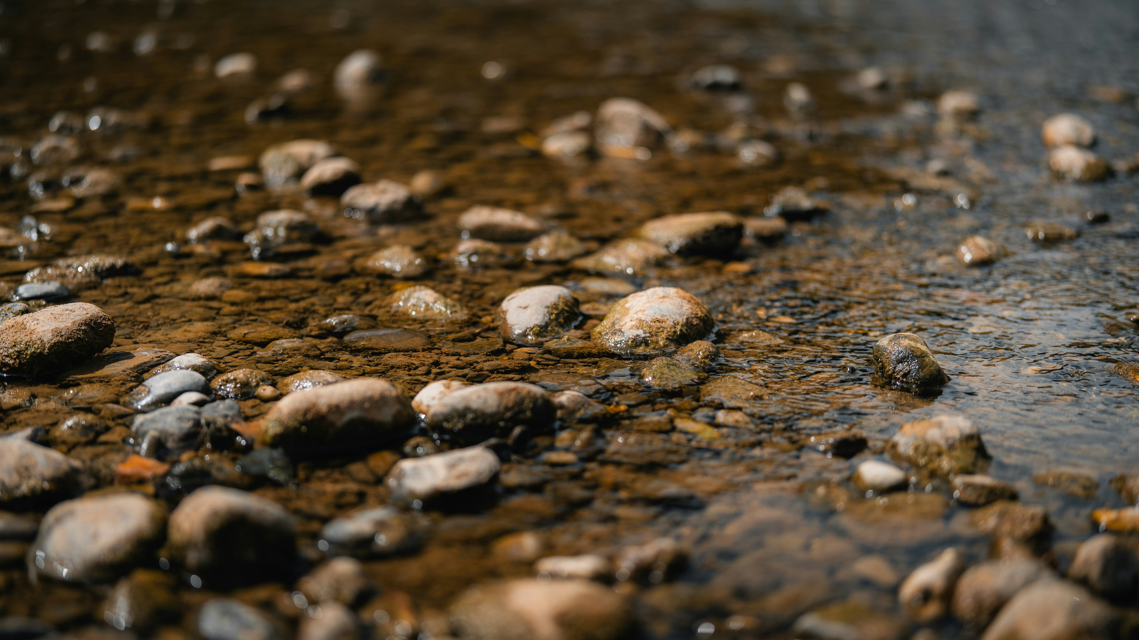 Photo by theemanofoth