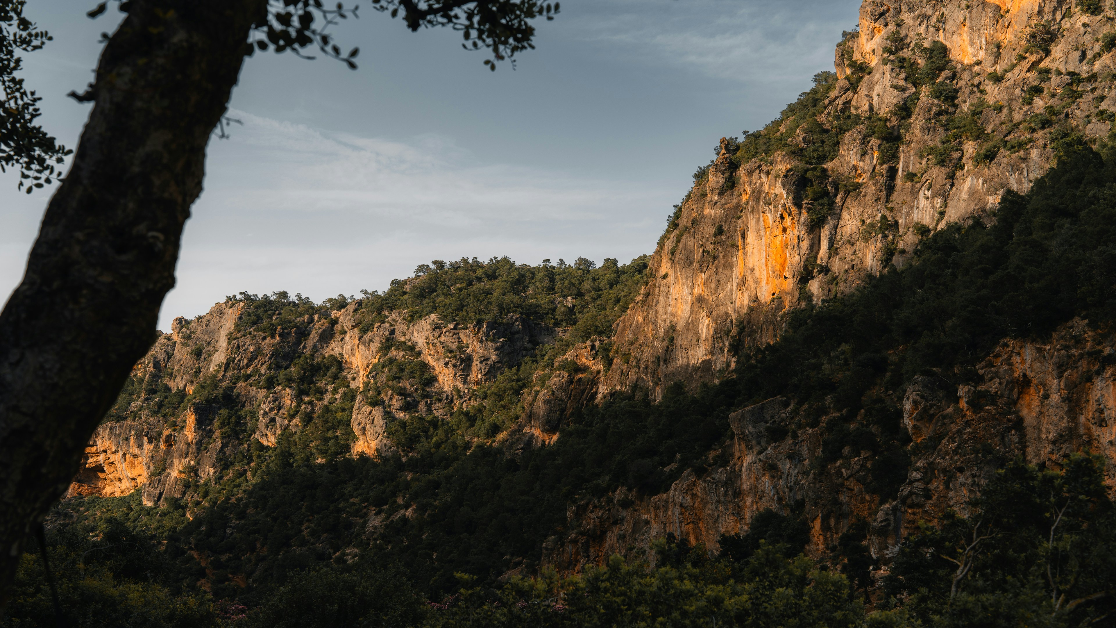 Photo by theemanofoth