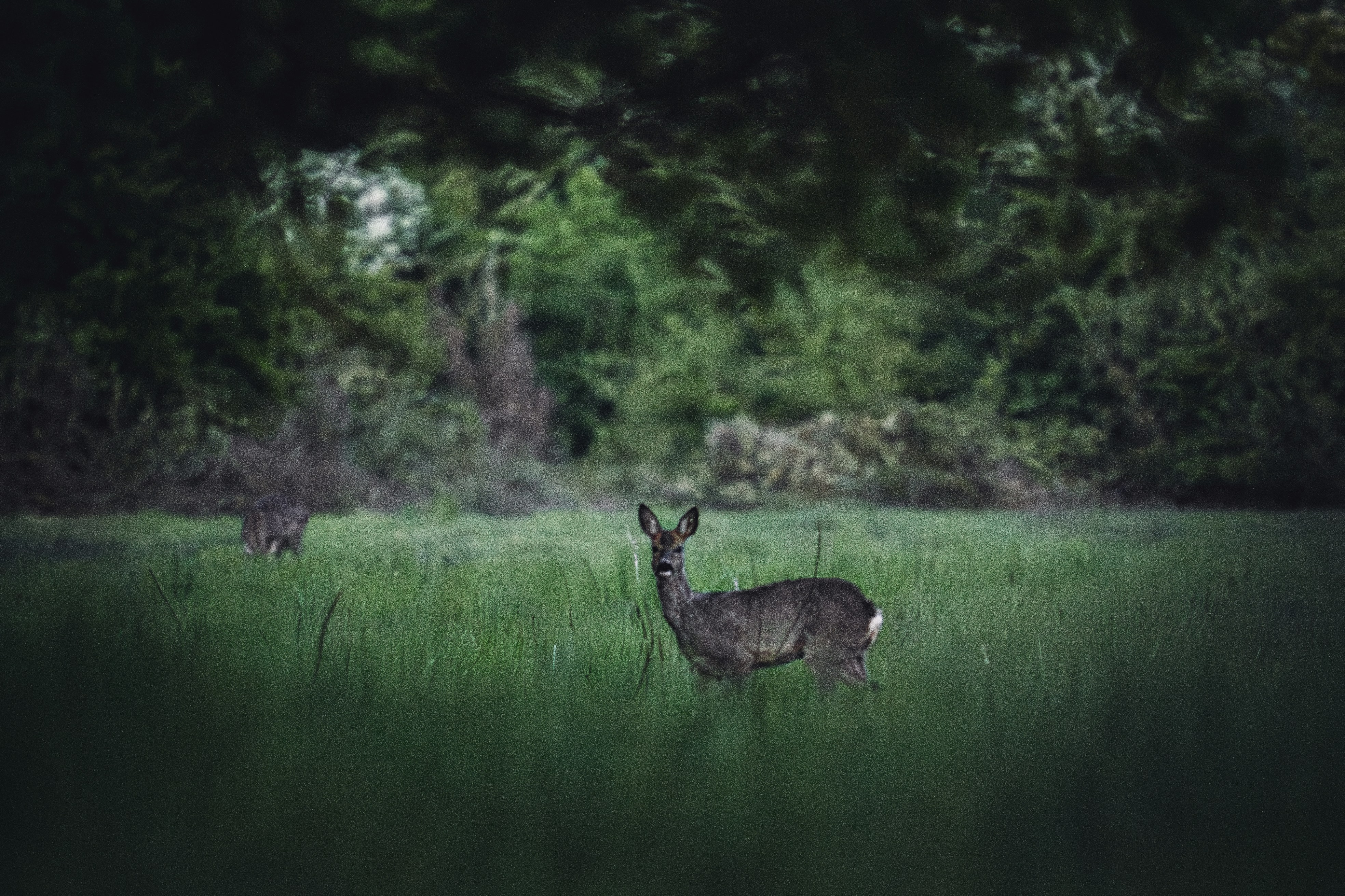 Photo by moritzlange