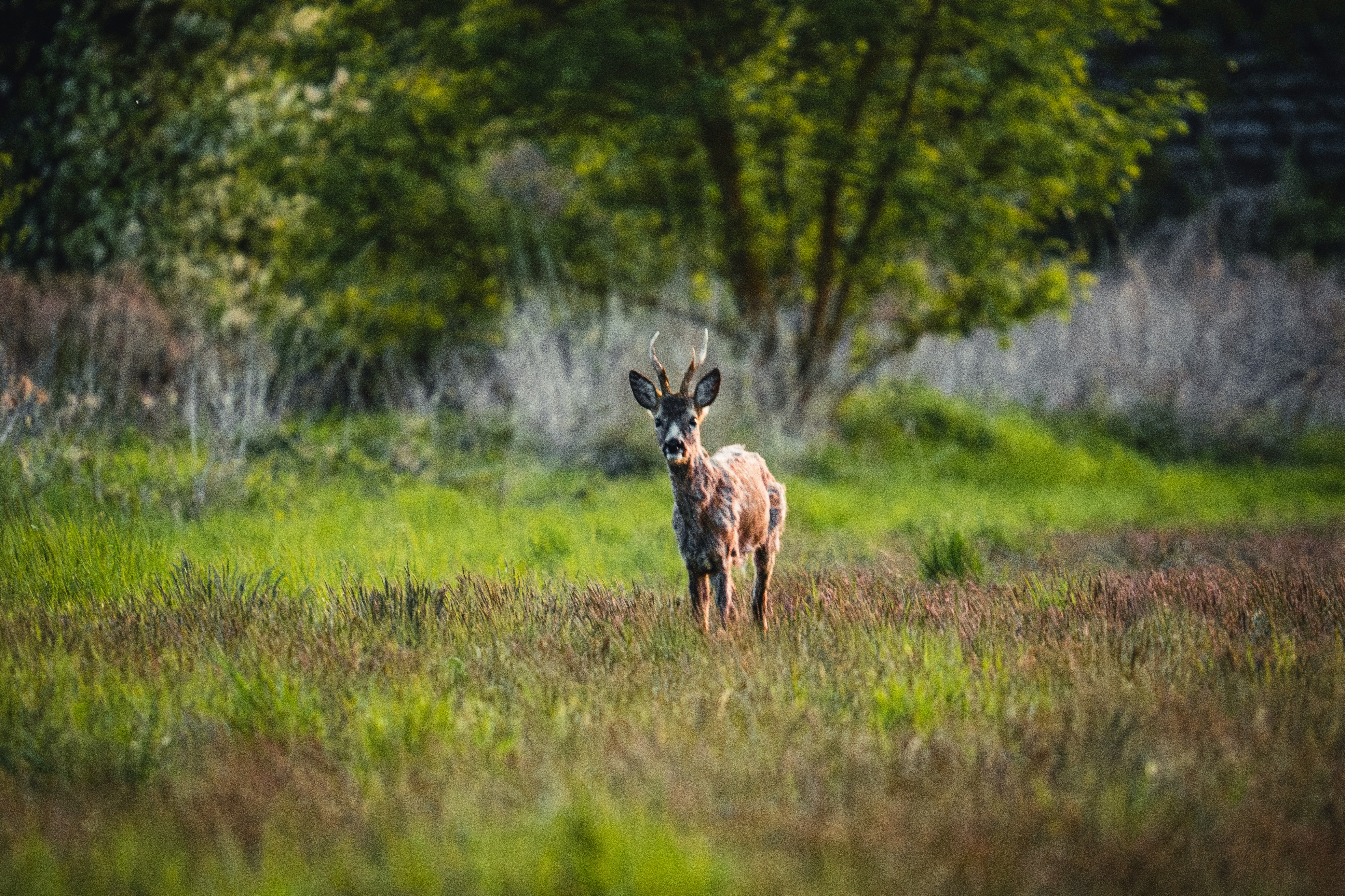 Photo by moritzlange