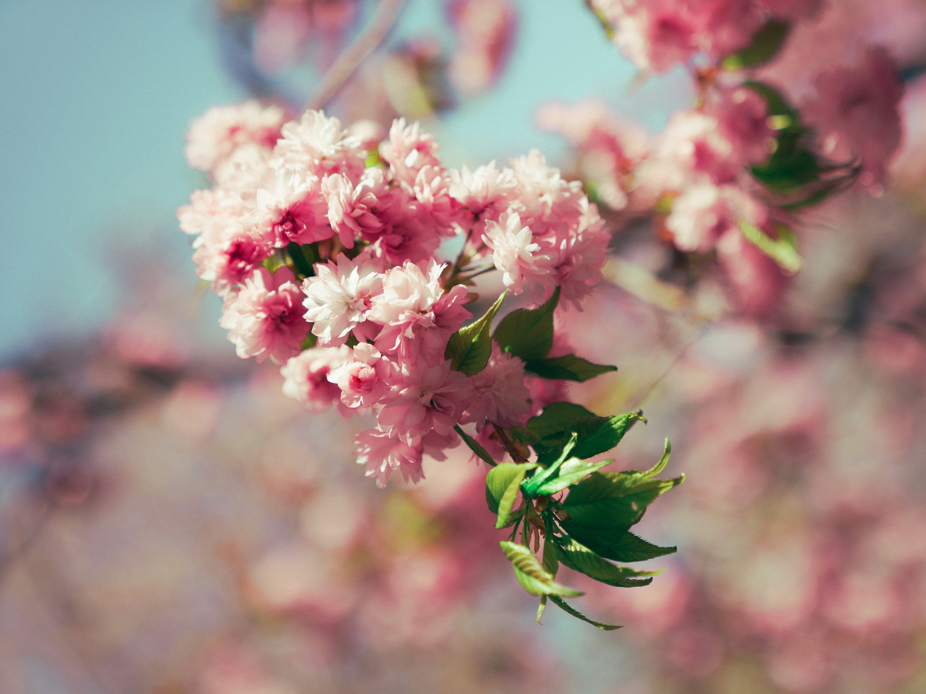 Photo by mineral_of_demon