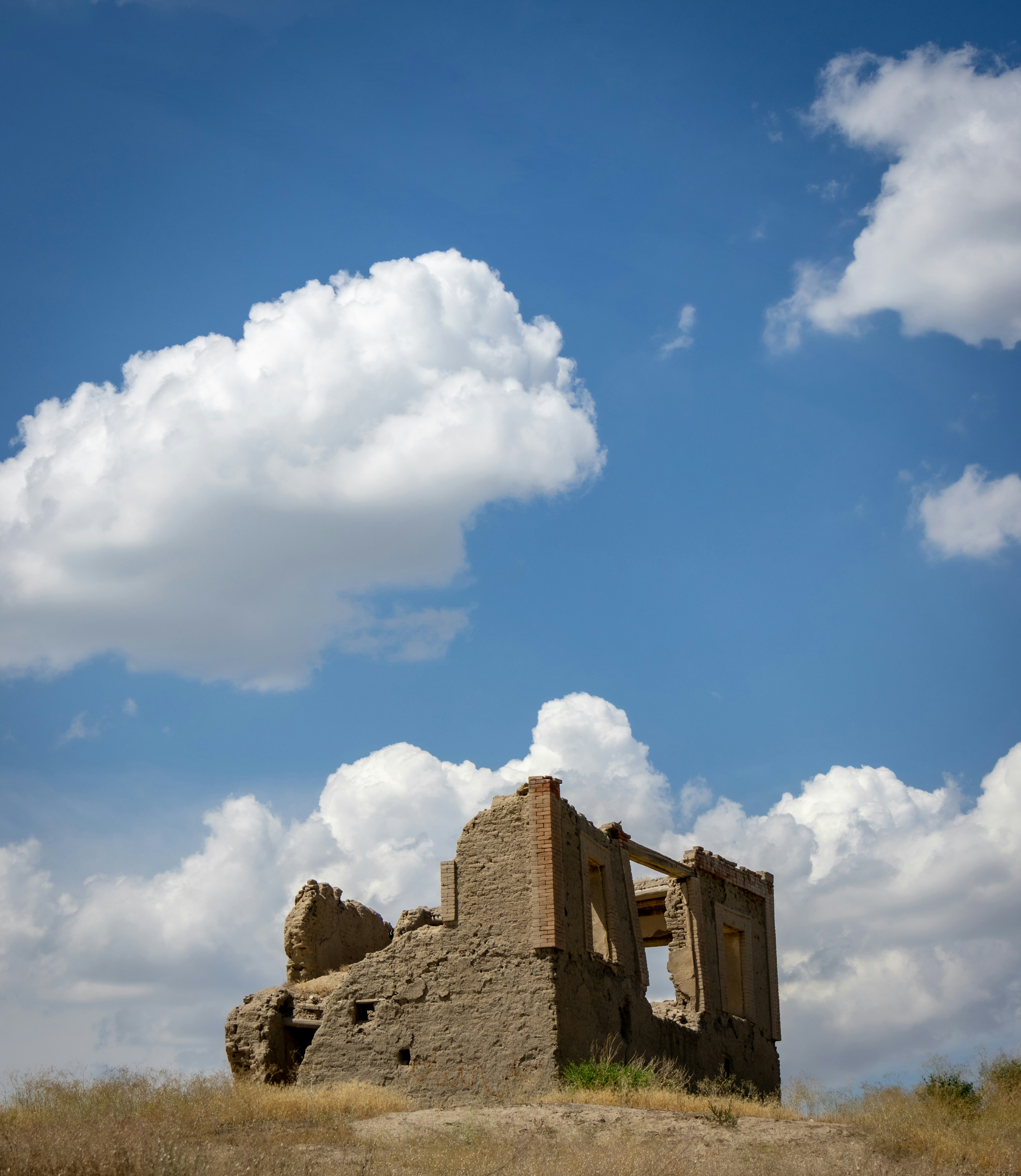 Photo by benyaminshamis