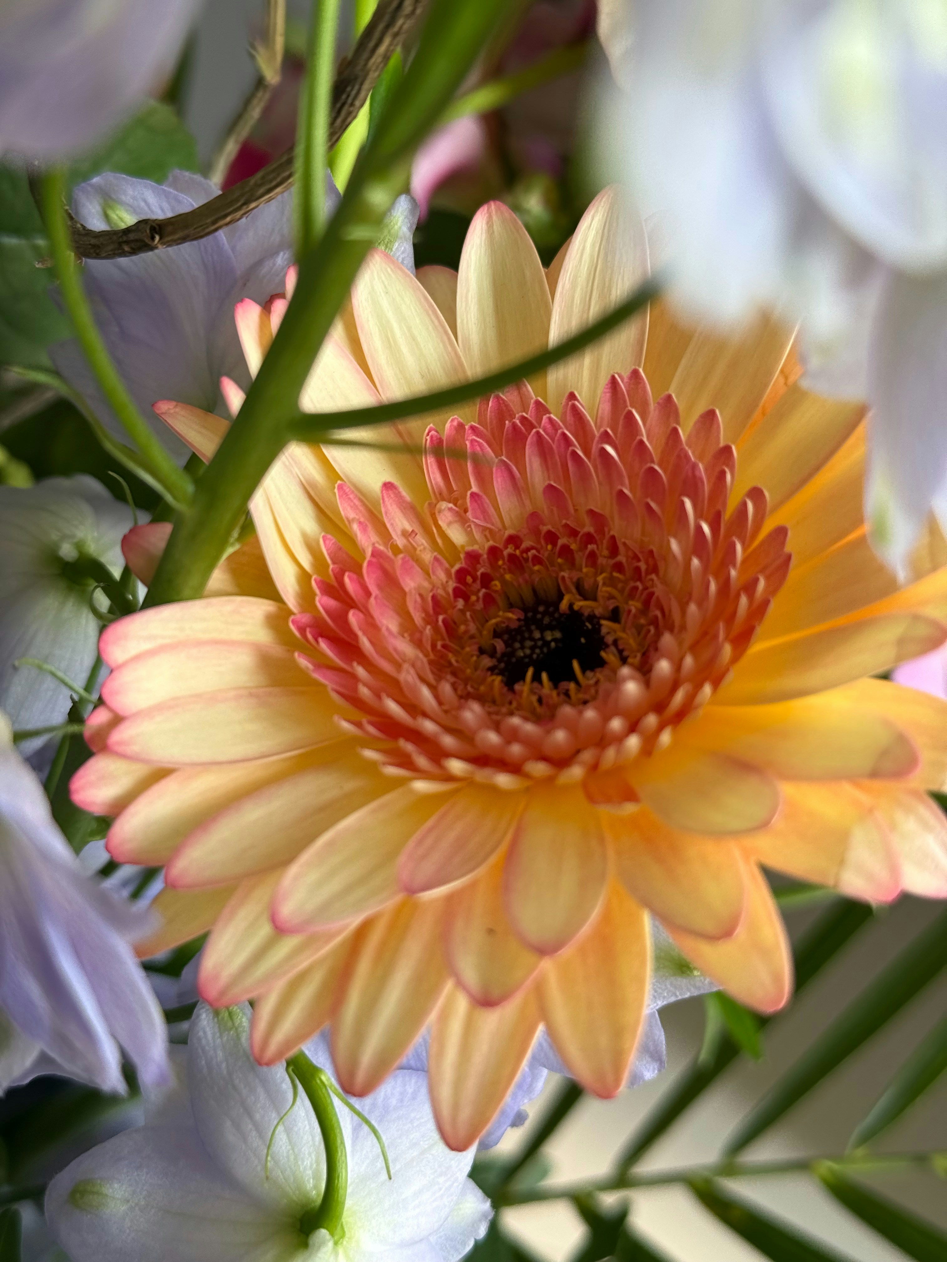 Photo by photosfromhome