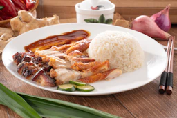 Here's a caption: delicious roasted duck and rice dish on a plate.