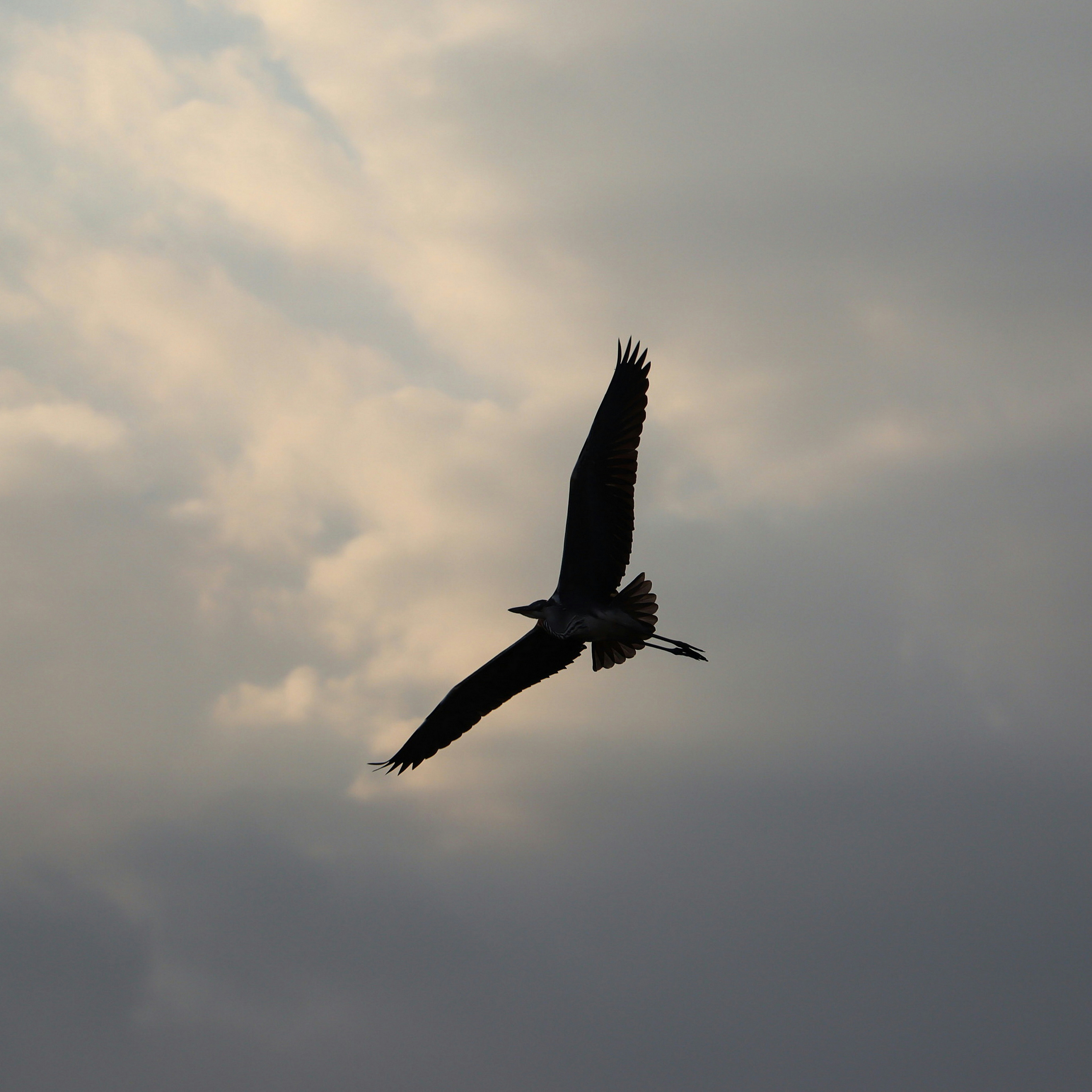 Photo by benyaminshamis