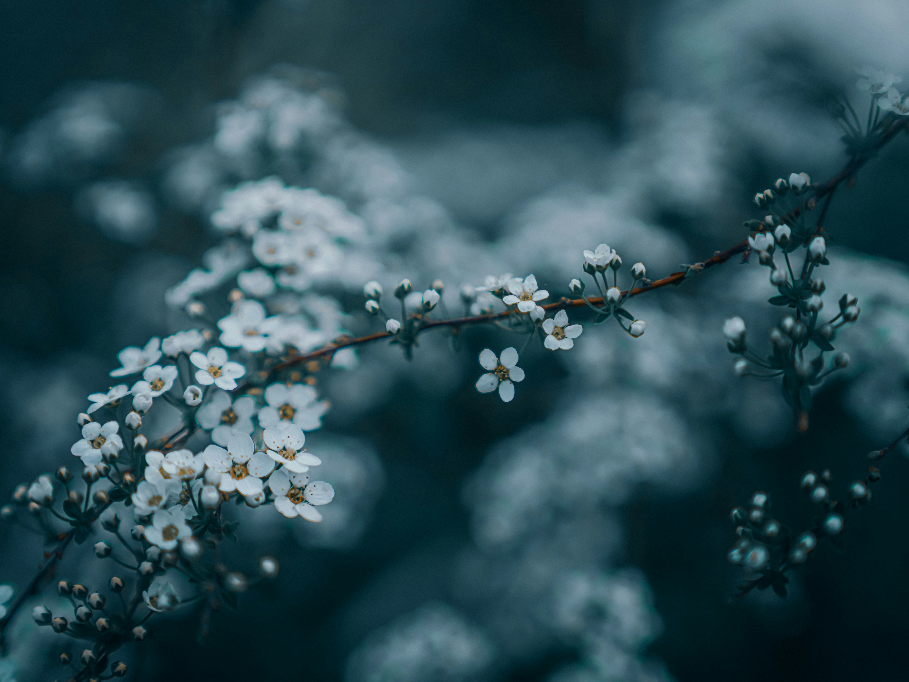 Photo by mineral_of_demon