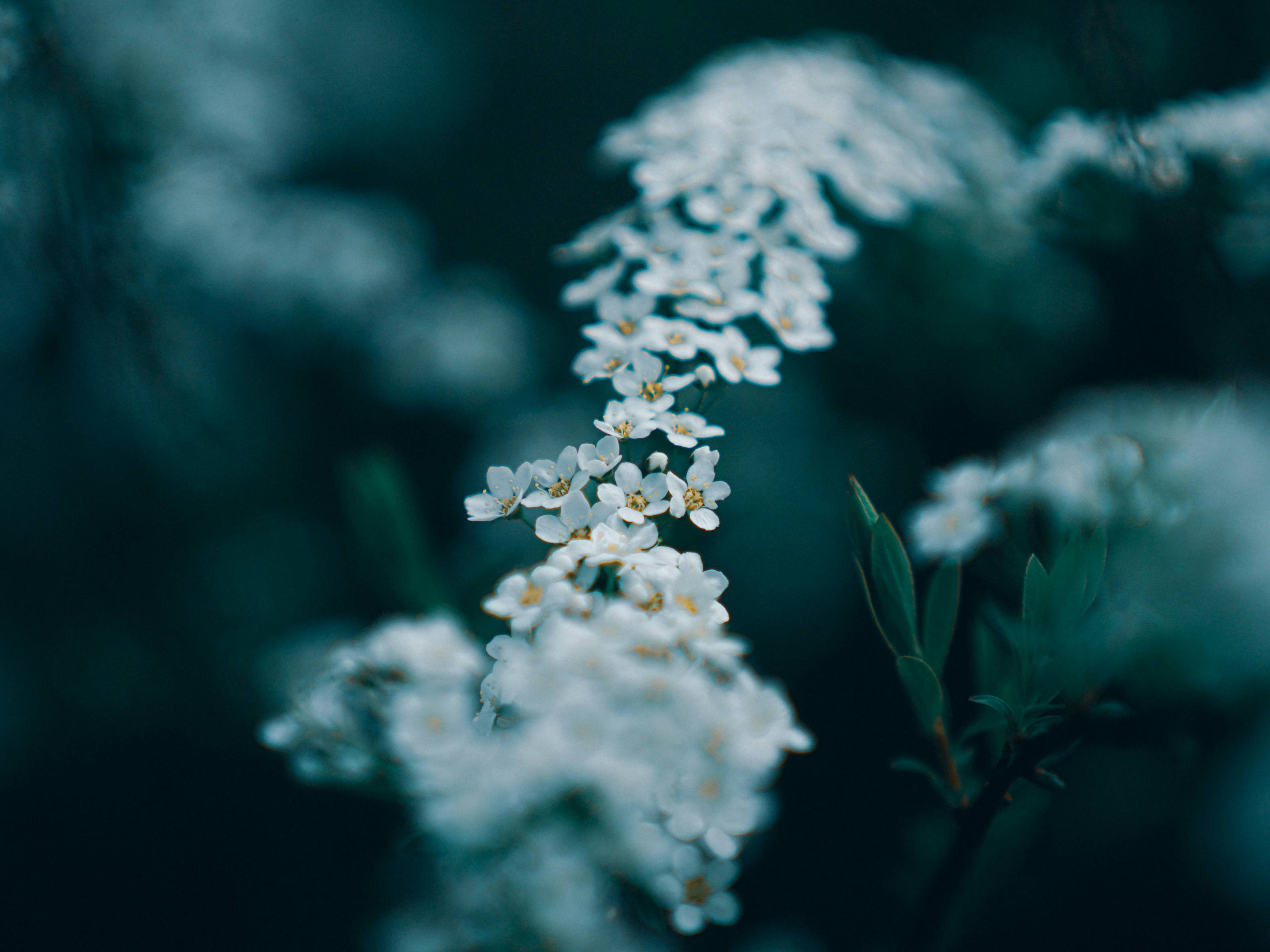 Photo by mineral_of_demon