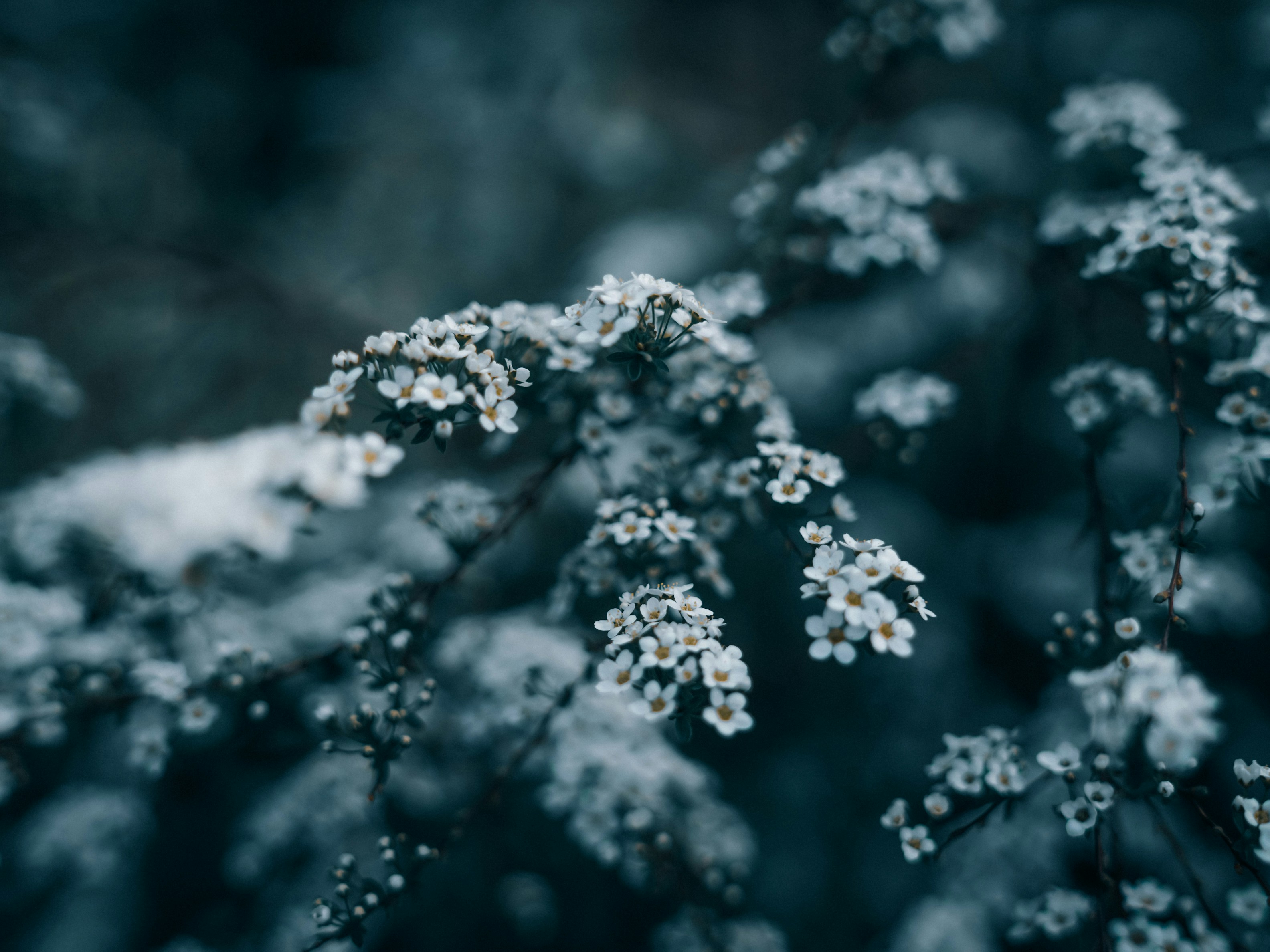 Photo by mineral_of_demon