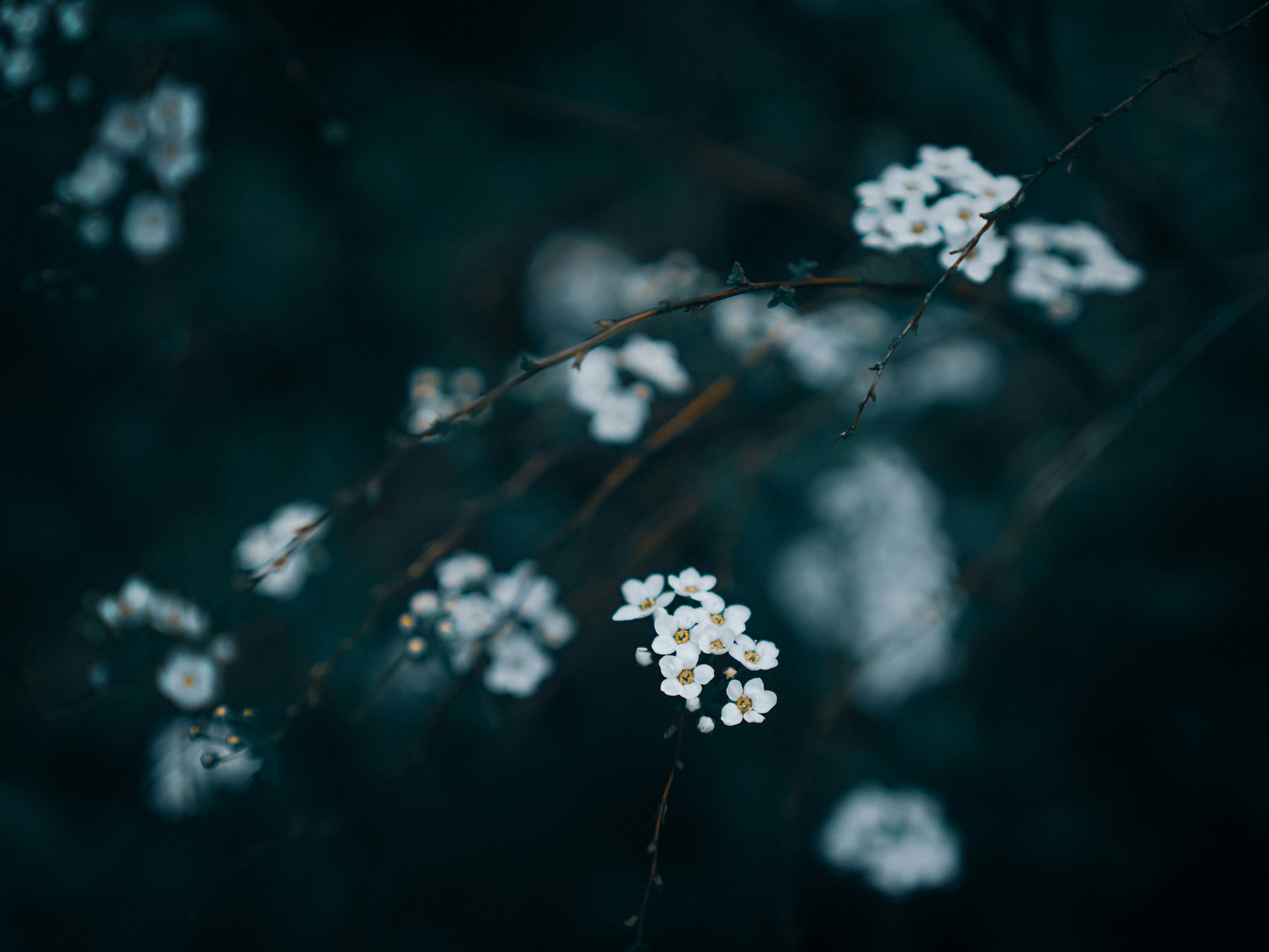 Photo by mineral_of_demon