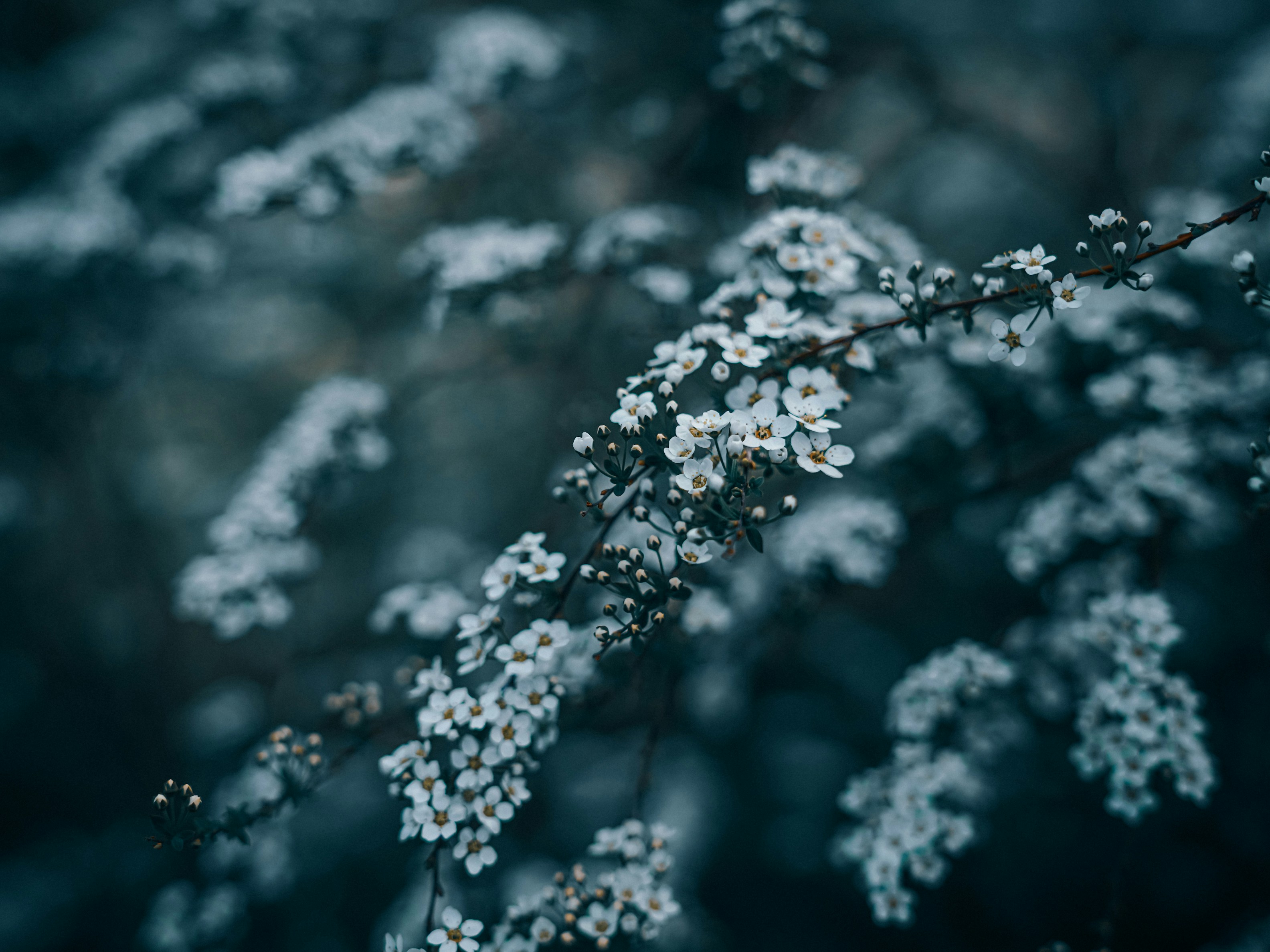 Photo by mineral_of_demon