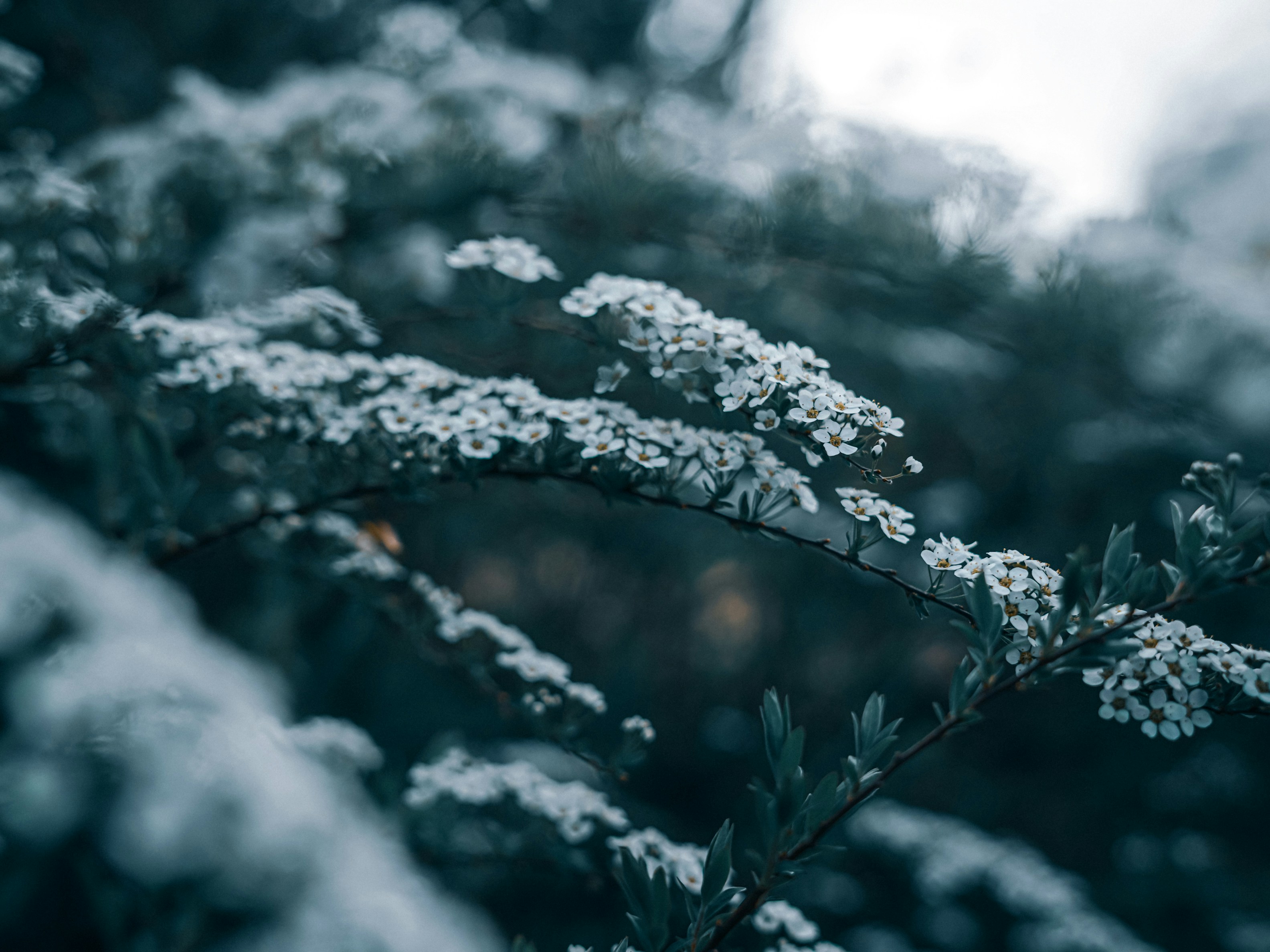 Photo by mineral_of_demon