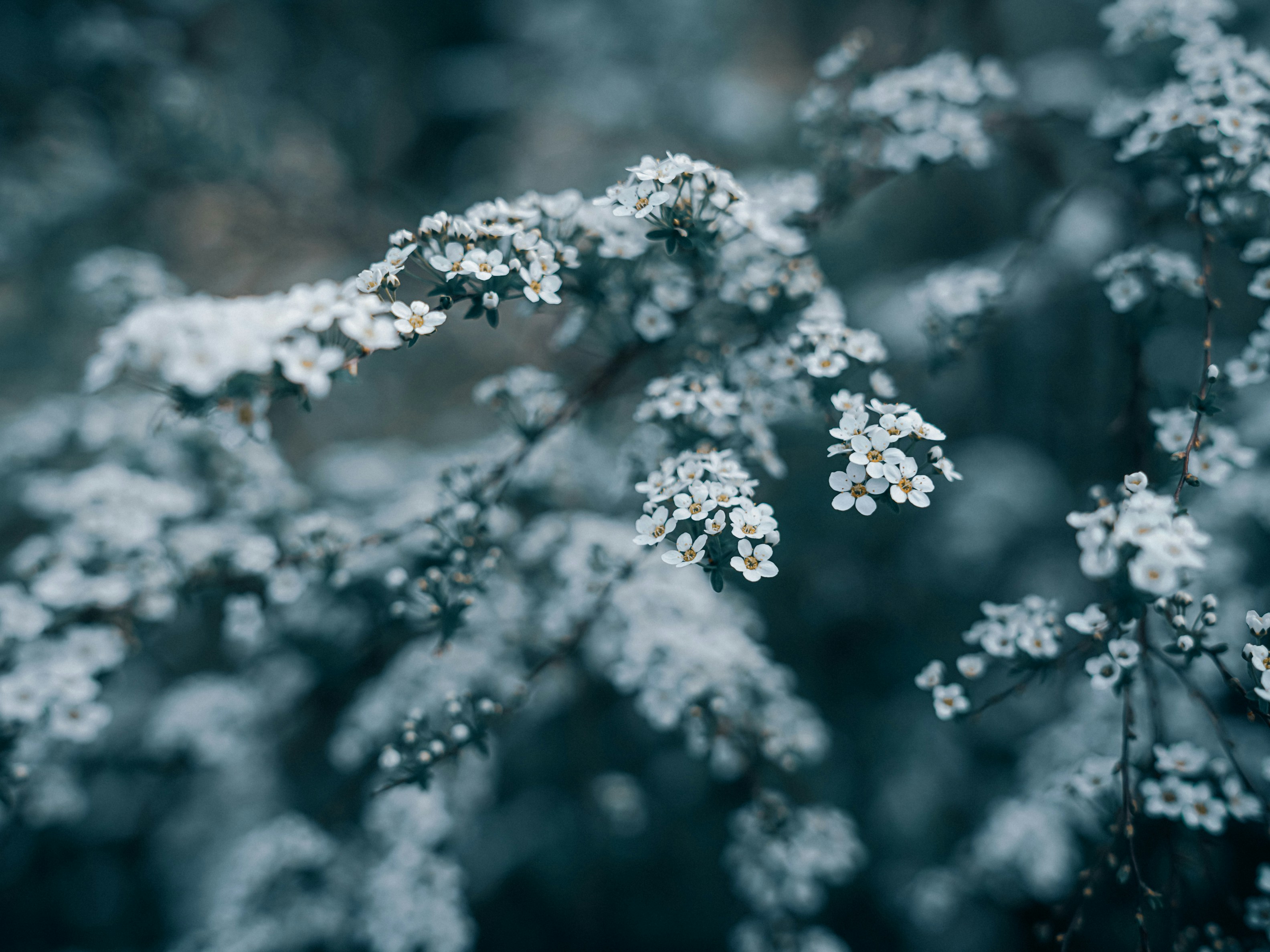 Photo by mineral_of_demon