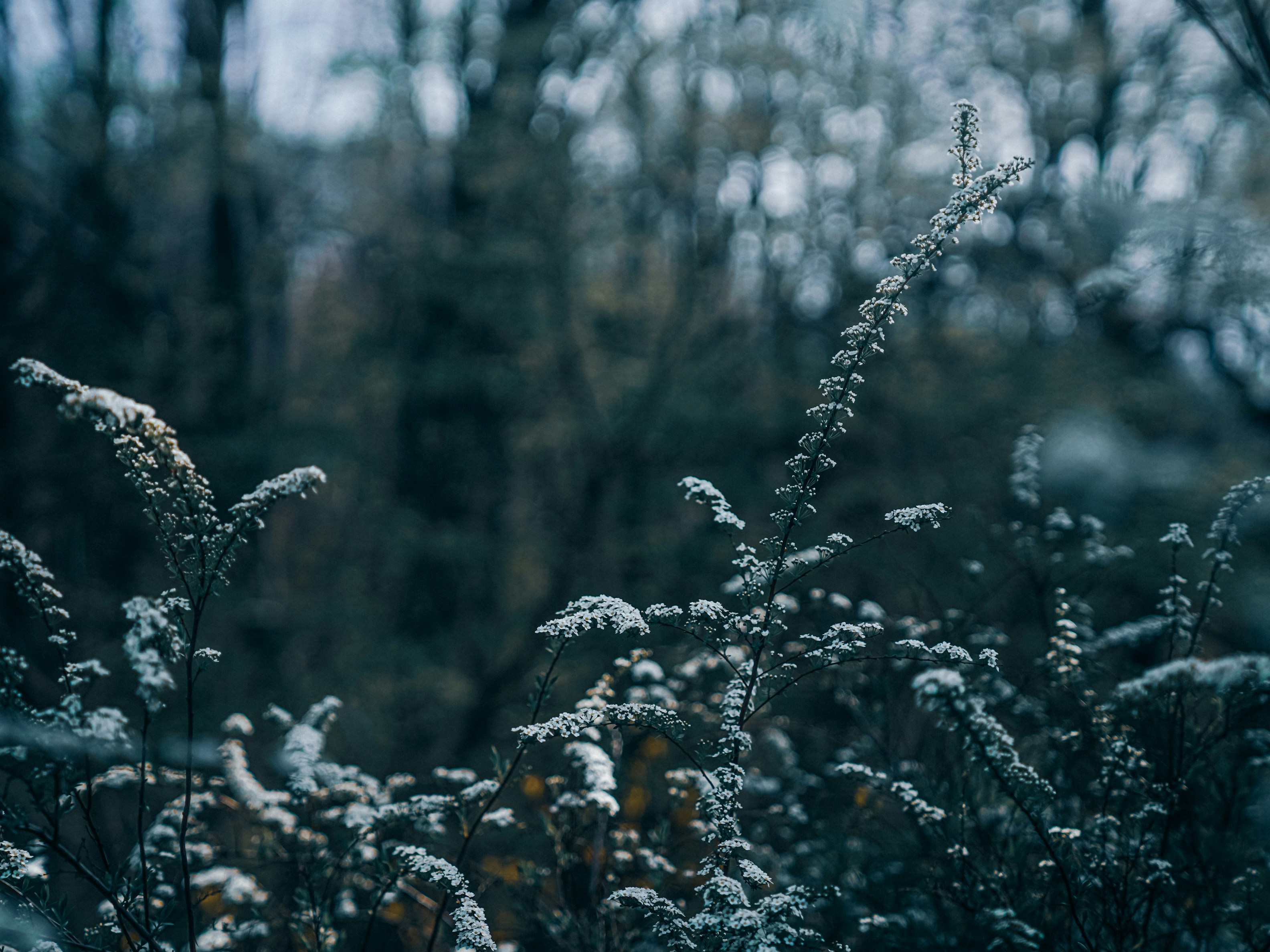 Photo by mineral_of_demon