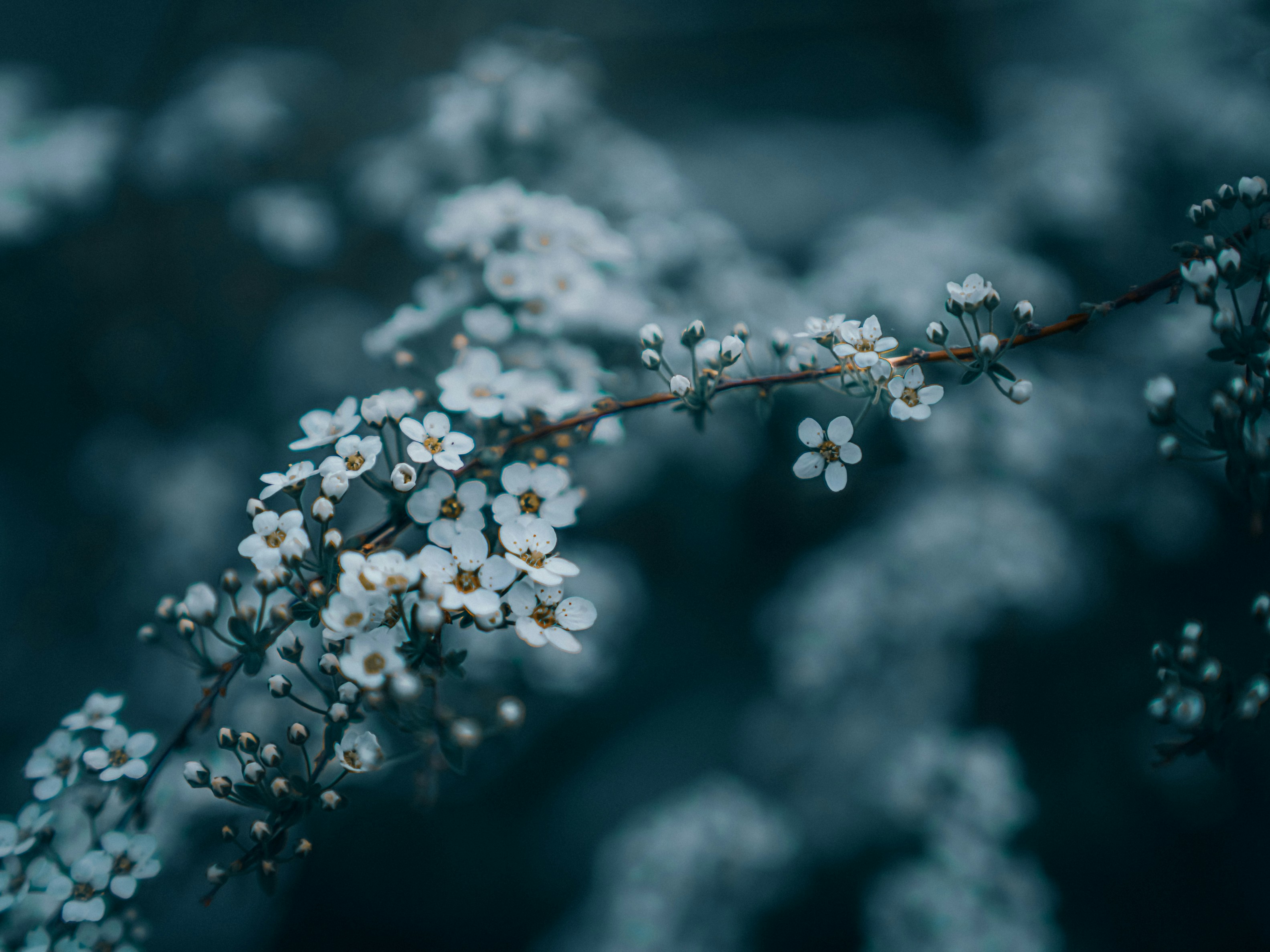 Photo by mineral_of_demon