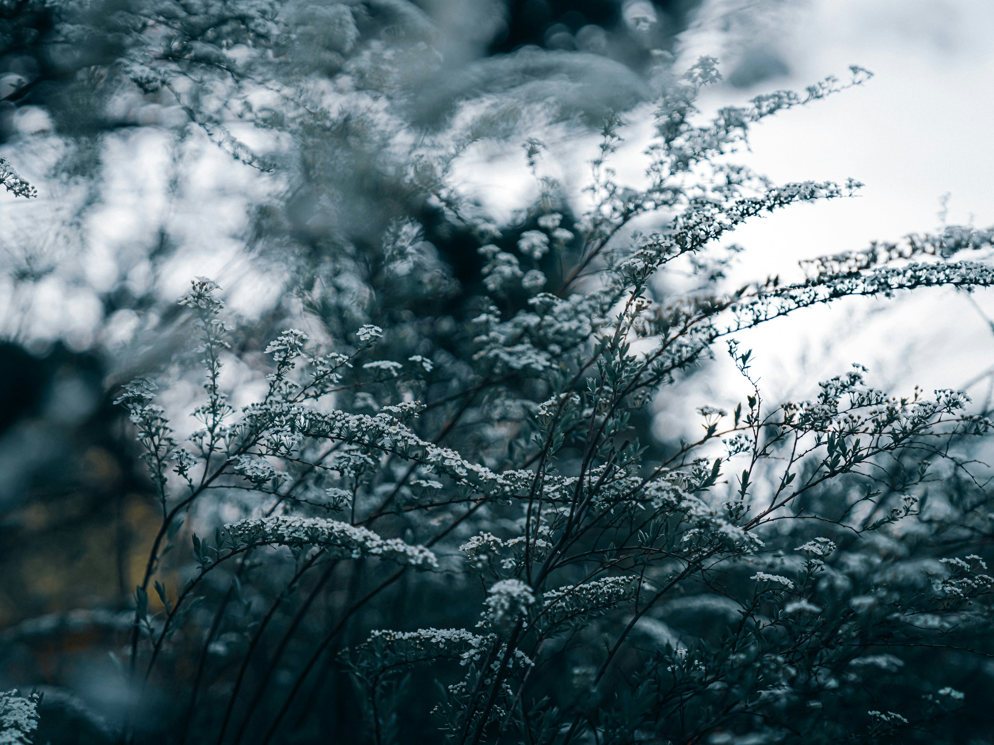 Photo by mineral_of_demon