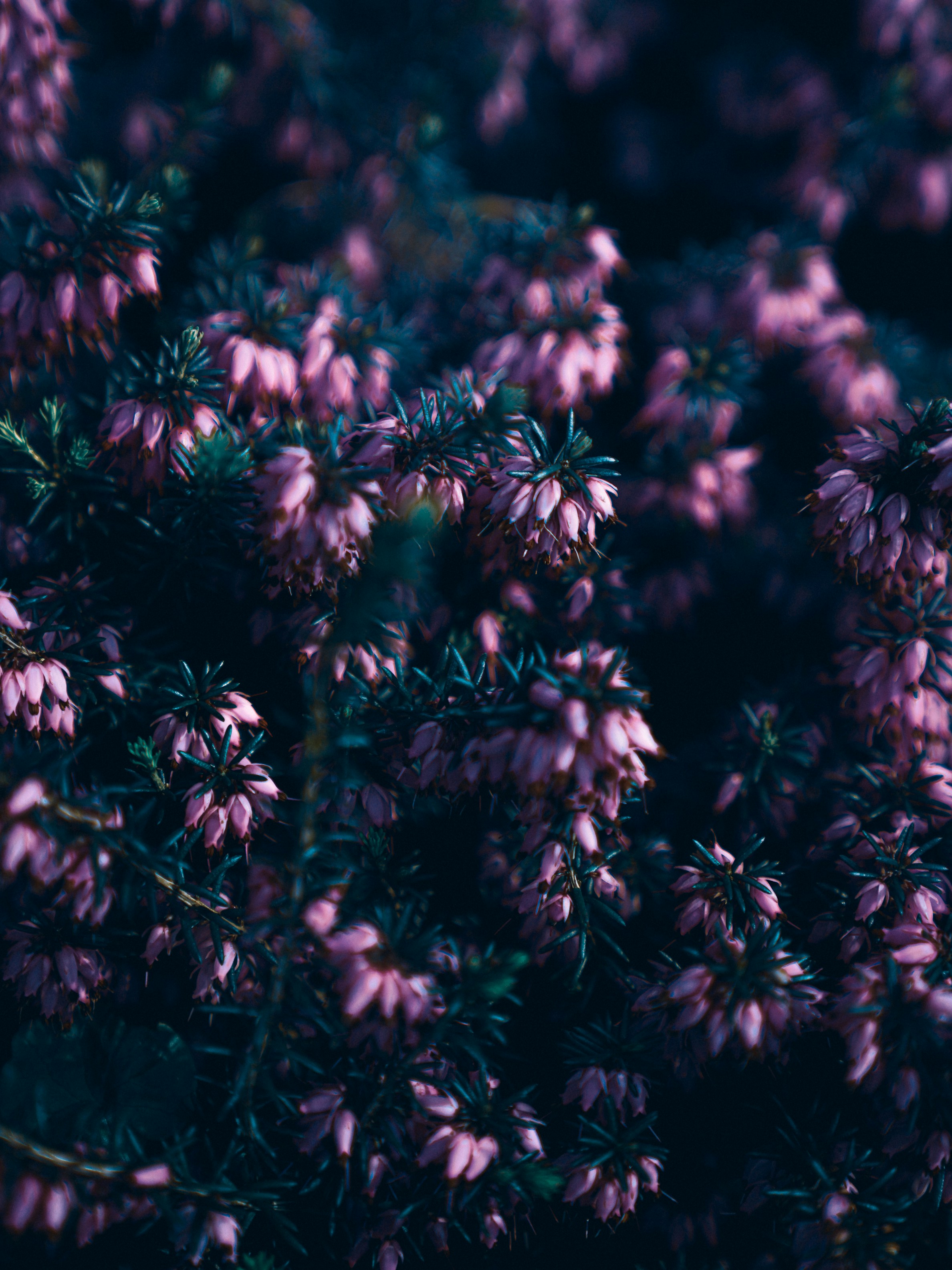 Photo by mineral_of_demon