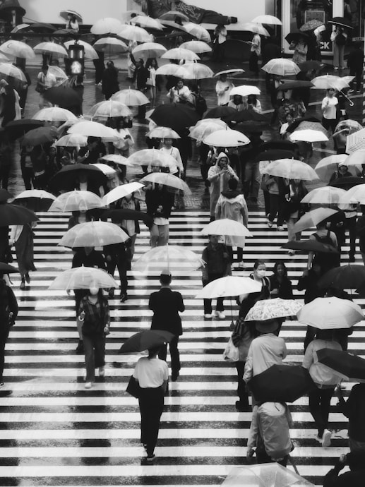 People with umbrellas crossing a busy crosswalk.