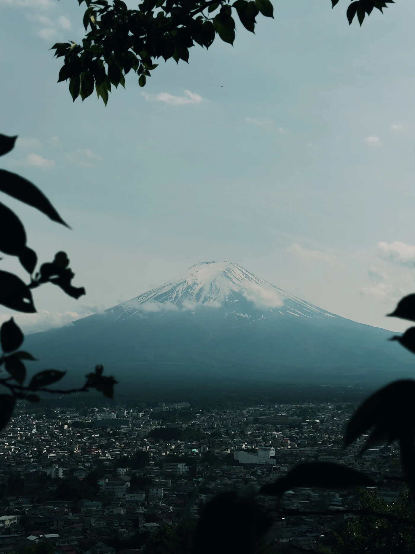 Japan landscape