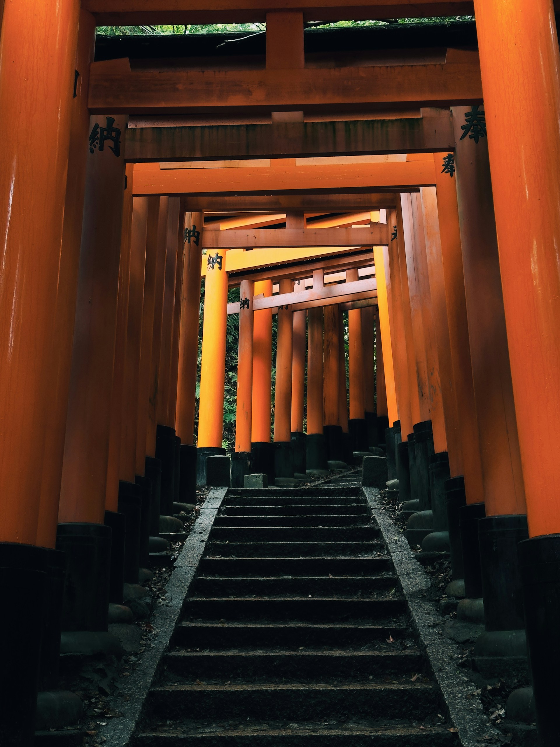 Orange torii gates lining a stairway at a Japanese shrine