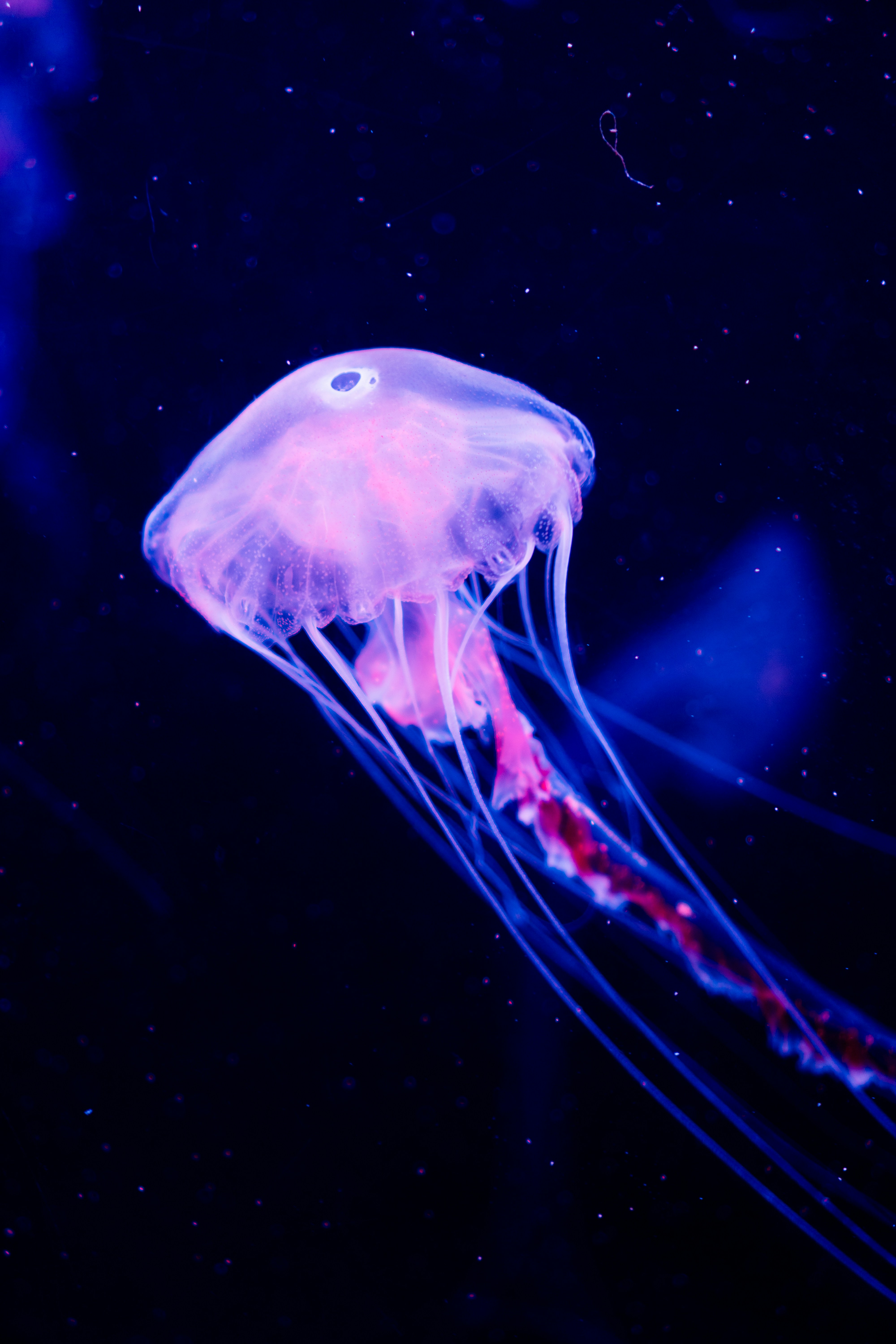 Photo by neoneo123456