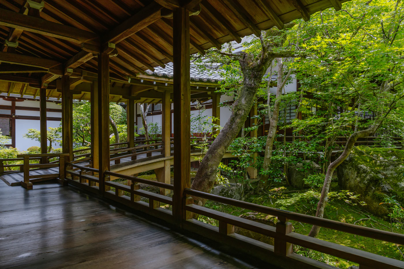 The cedar veranda of the Pavillon Méridien, open to the garden