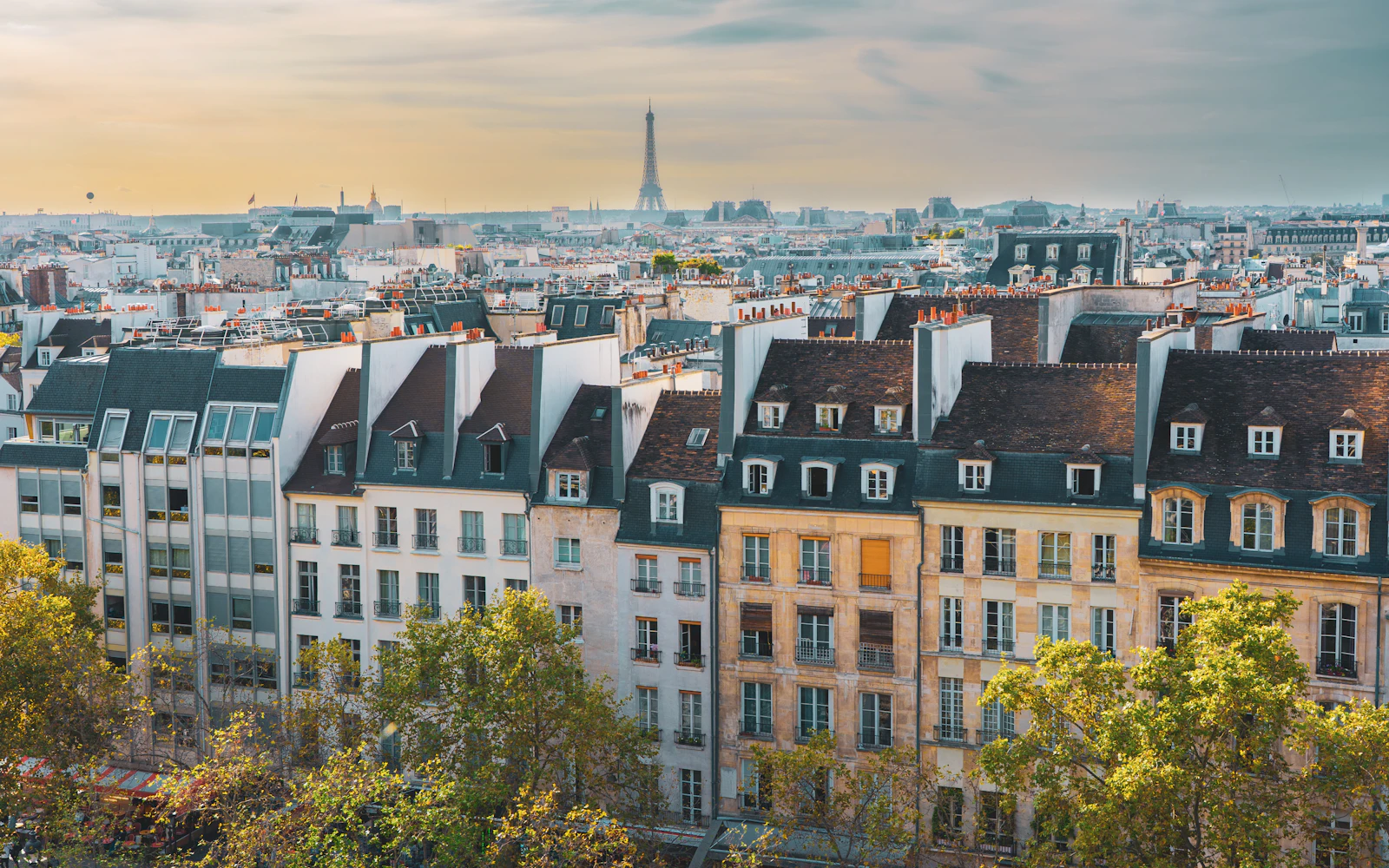 Sightseeing & City Highlights — experiences