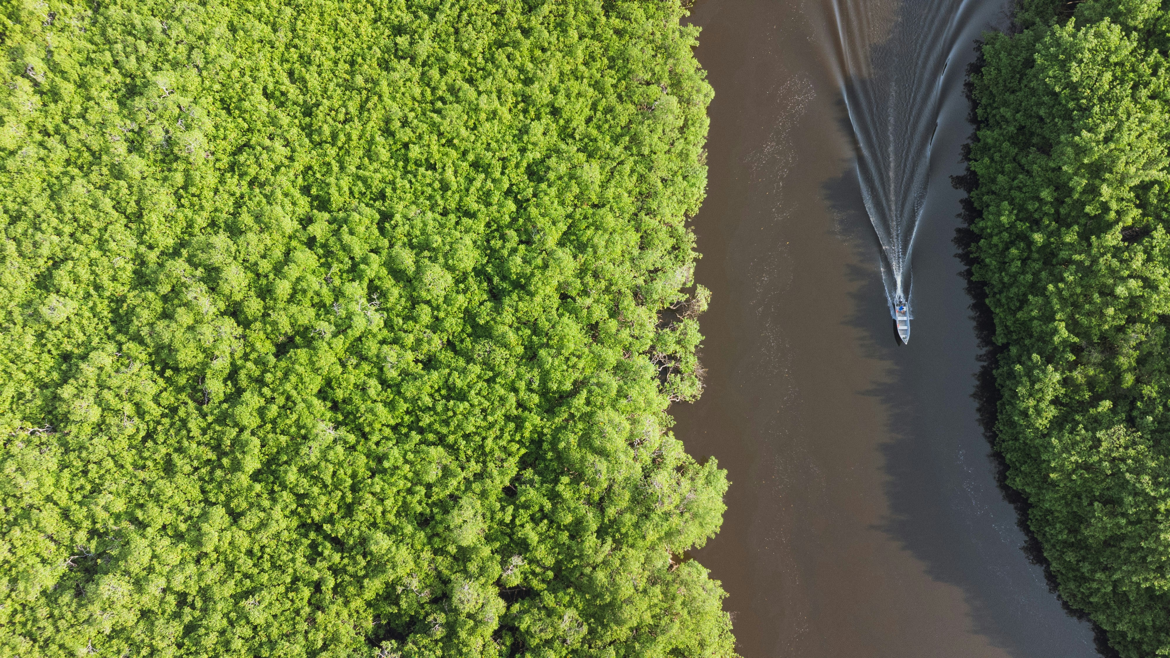 Photo by viniciusmarcall