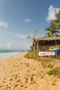 Beachside bar on a beautiful, sunny day.