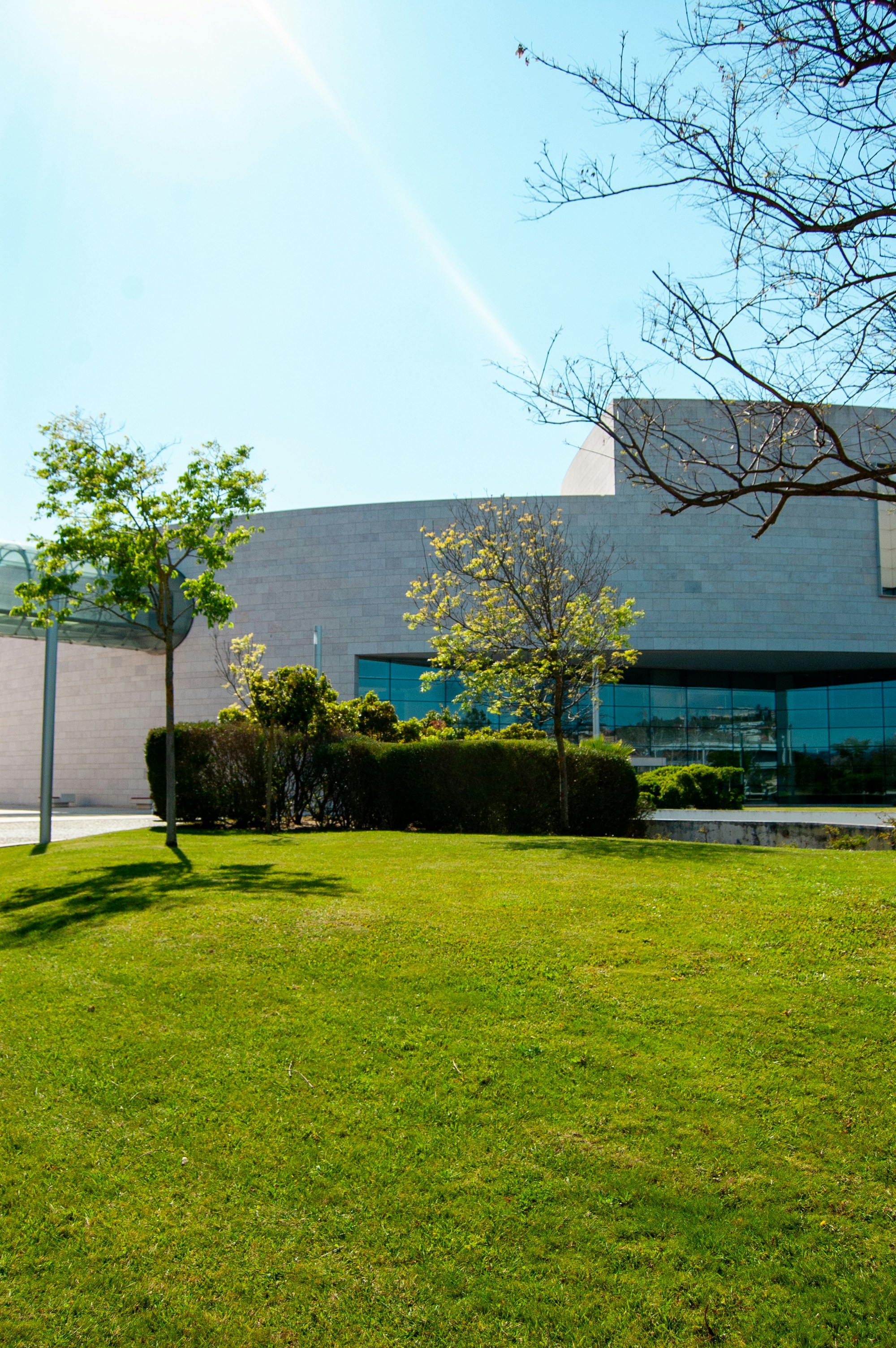 Photo by shoku_shoku