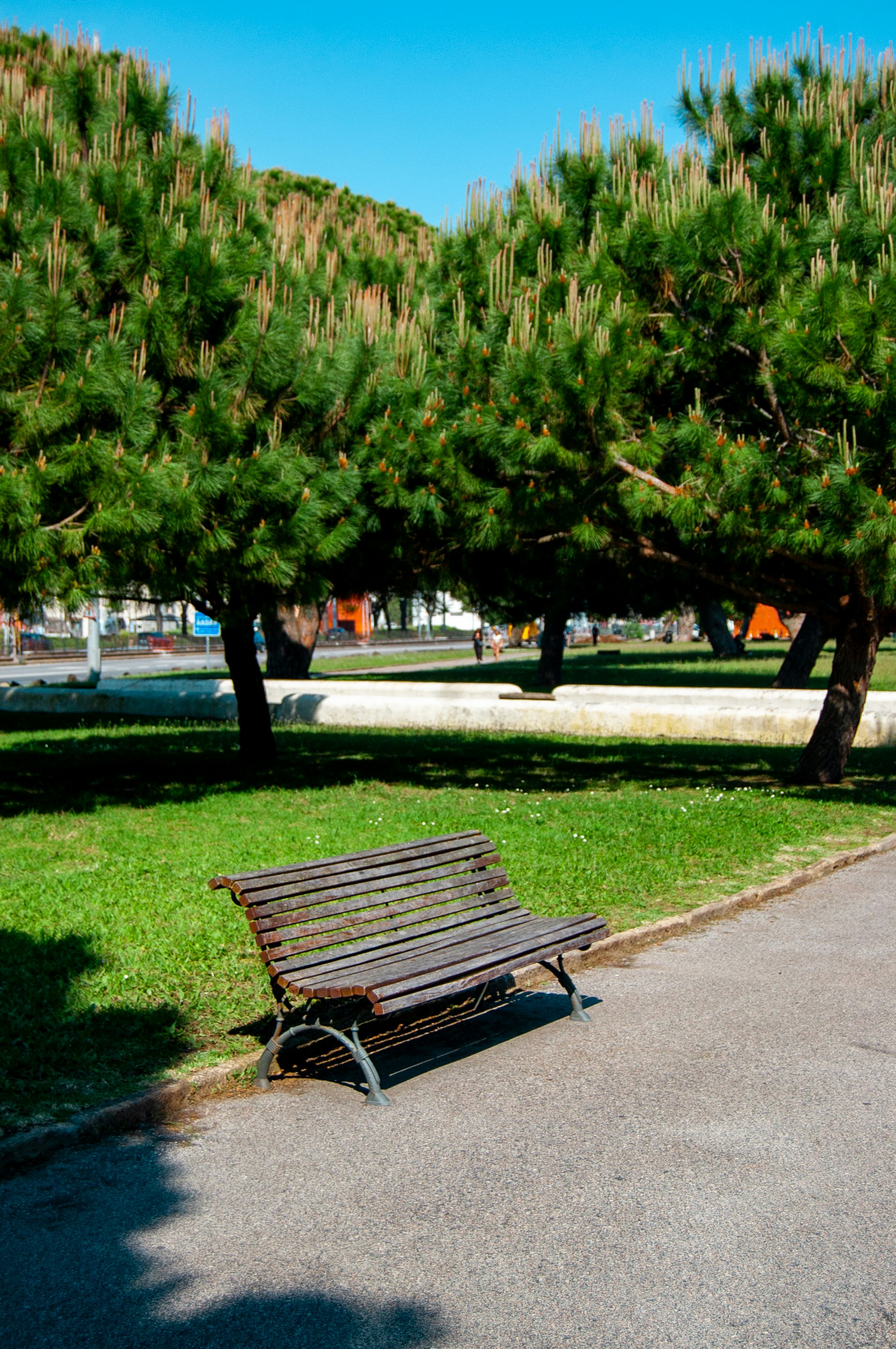 Photo by shoku_shoku