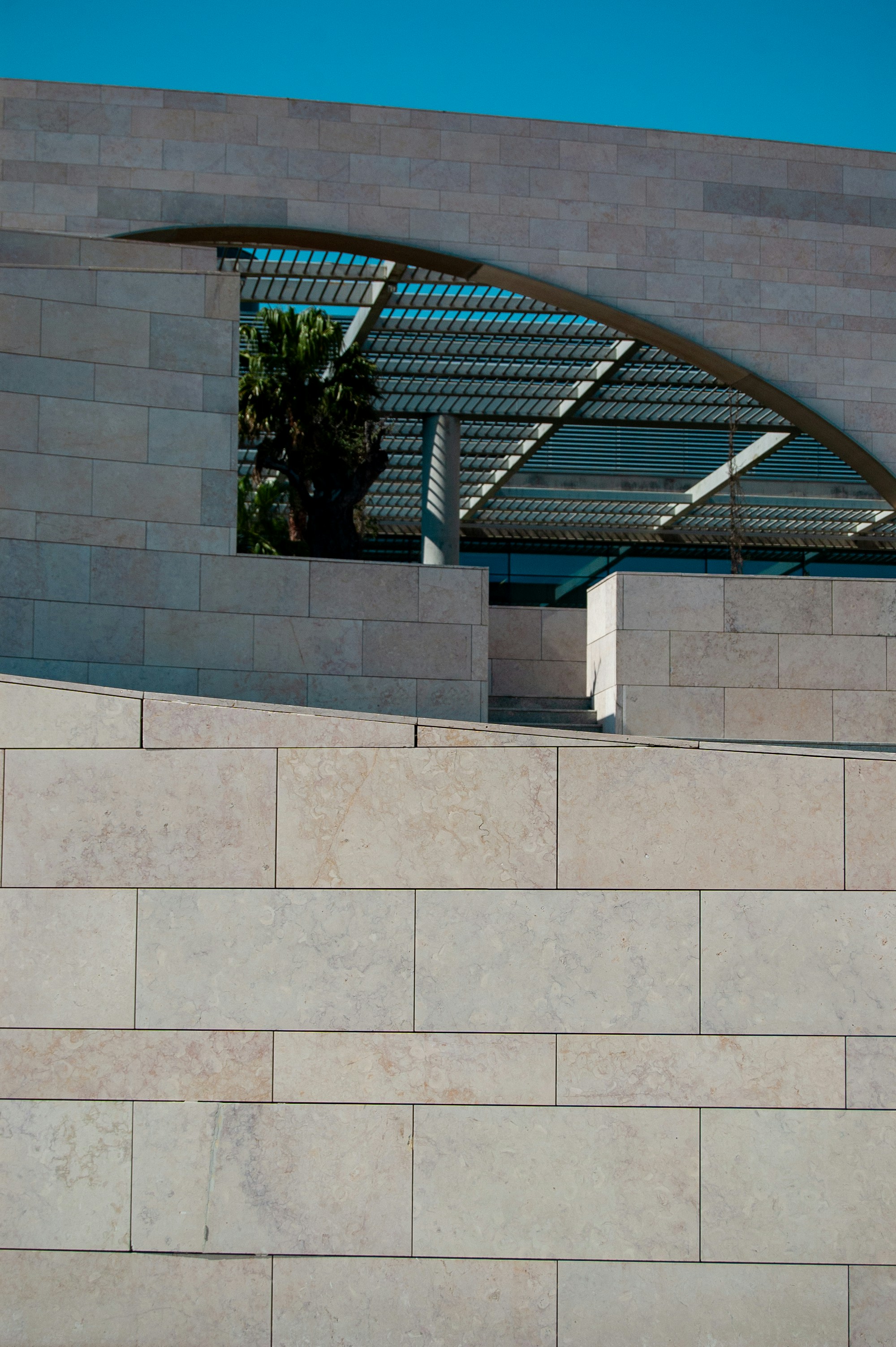 Architectural detail featuring modern design and a tree.