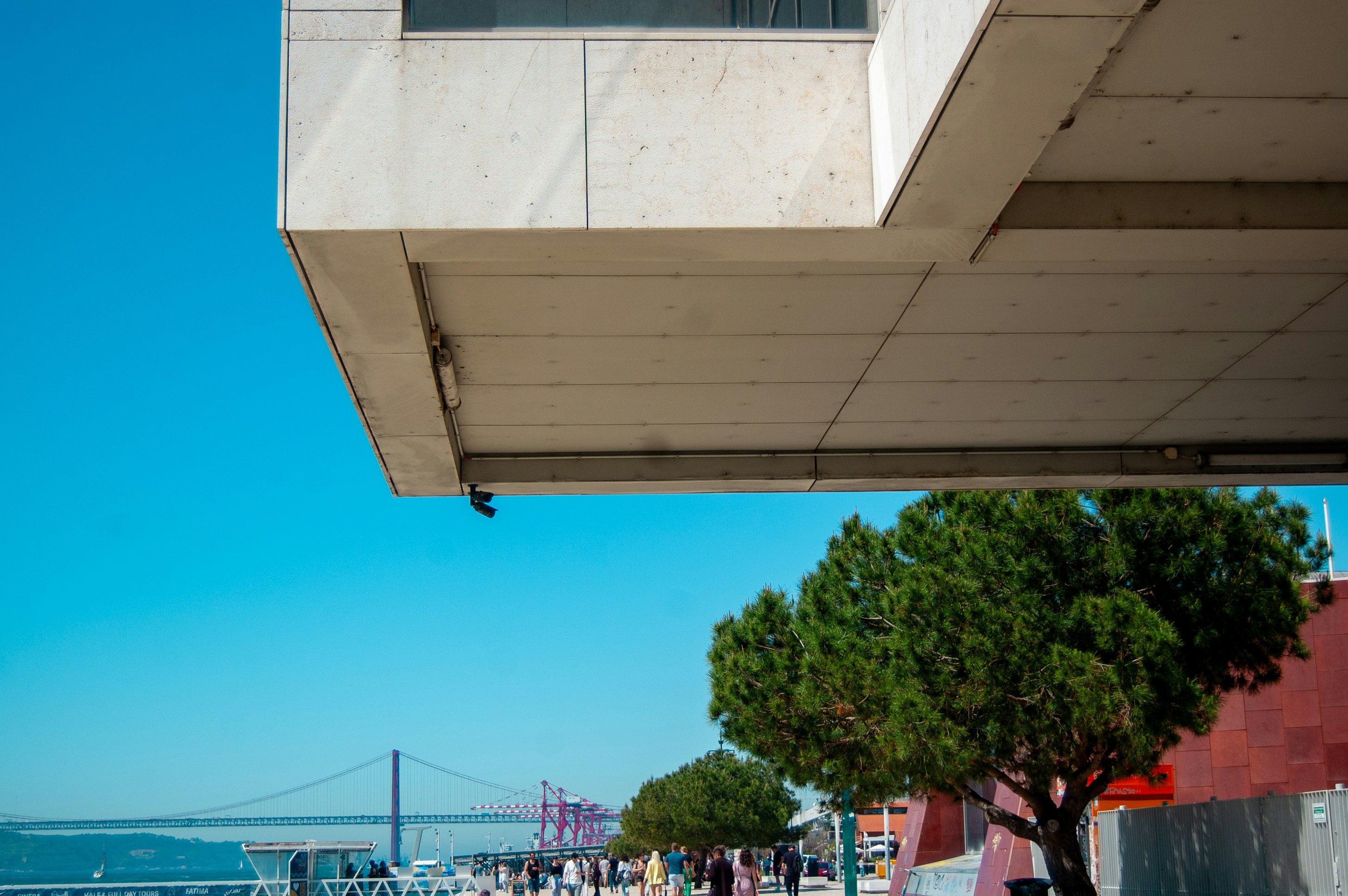 A building's corner above trees and a bridge.