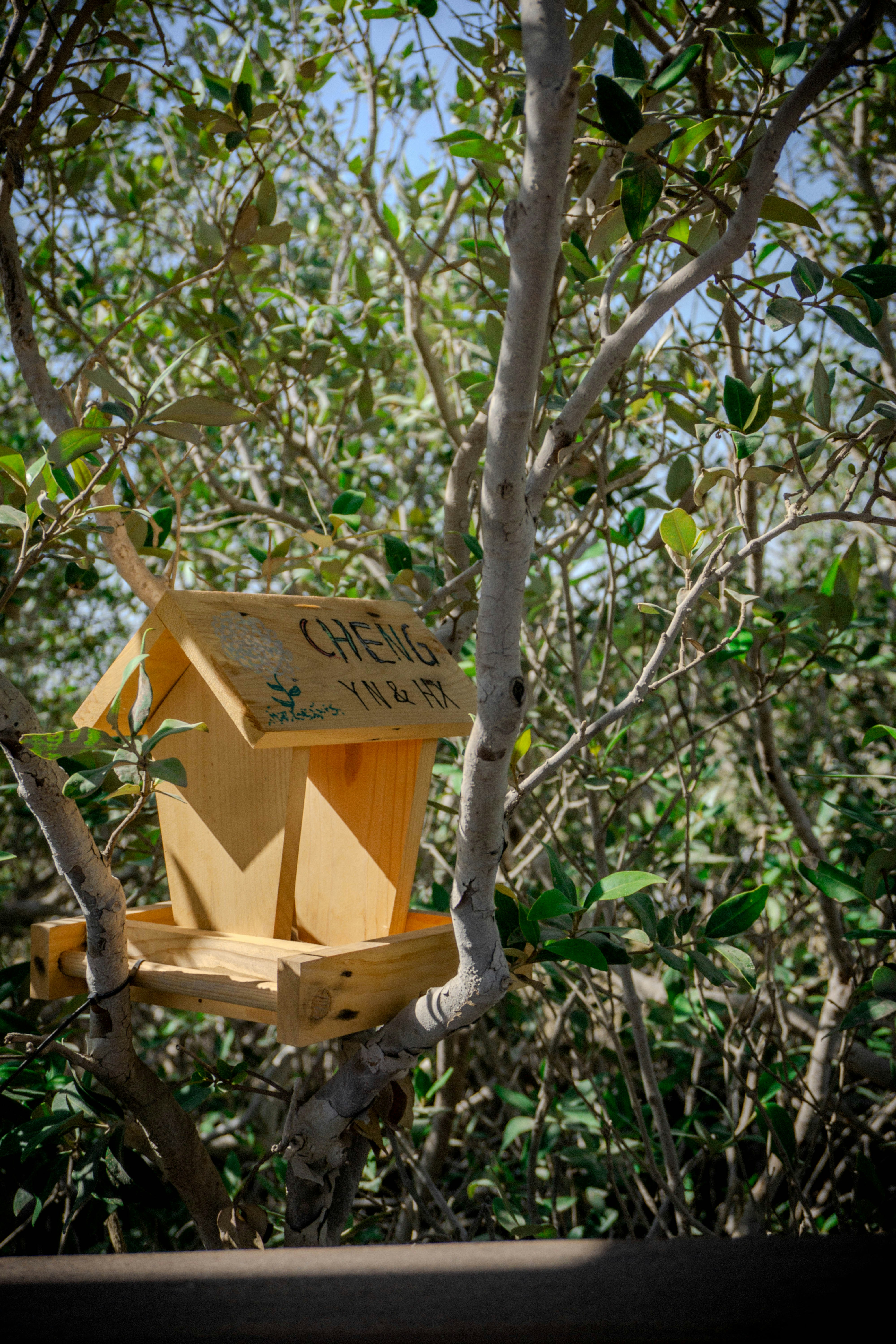 Photo by thenairative