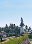 A lighthouse stands tall beside palm trees.