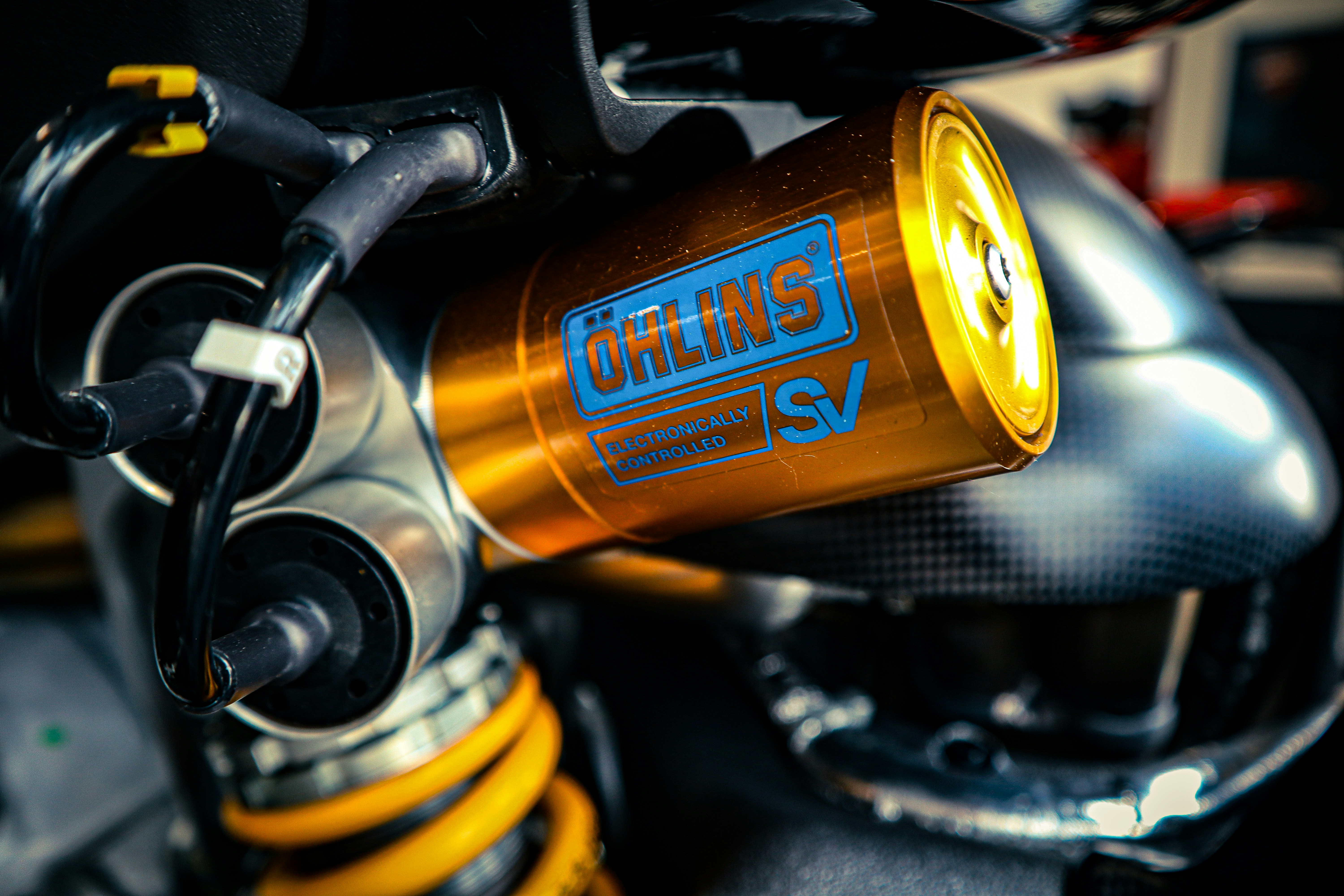 Rear Shock Absorber Pair