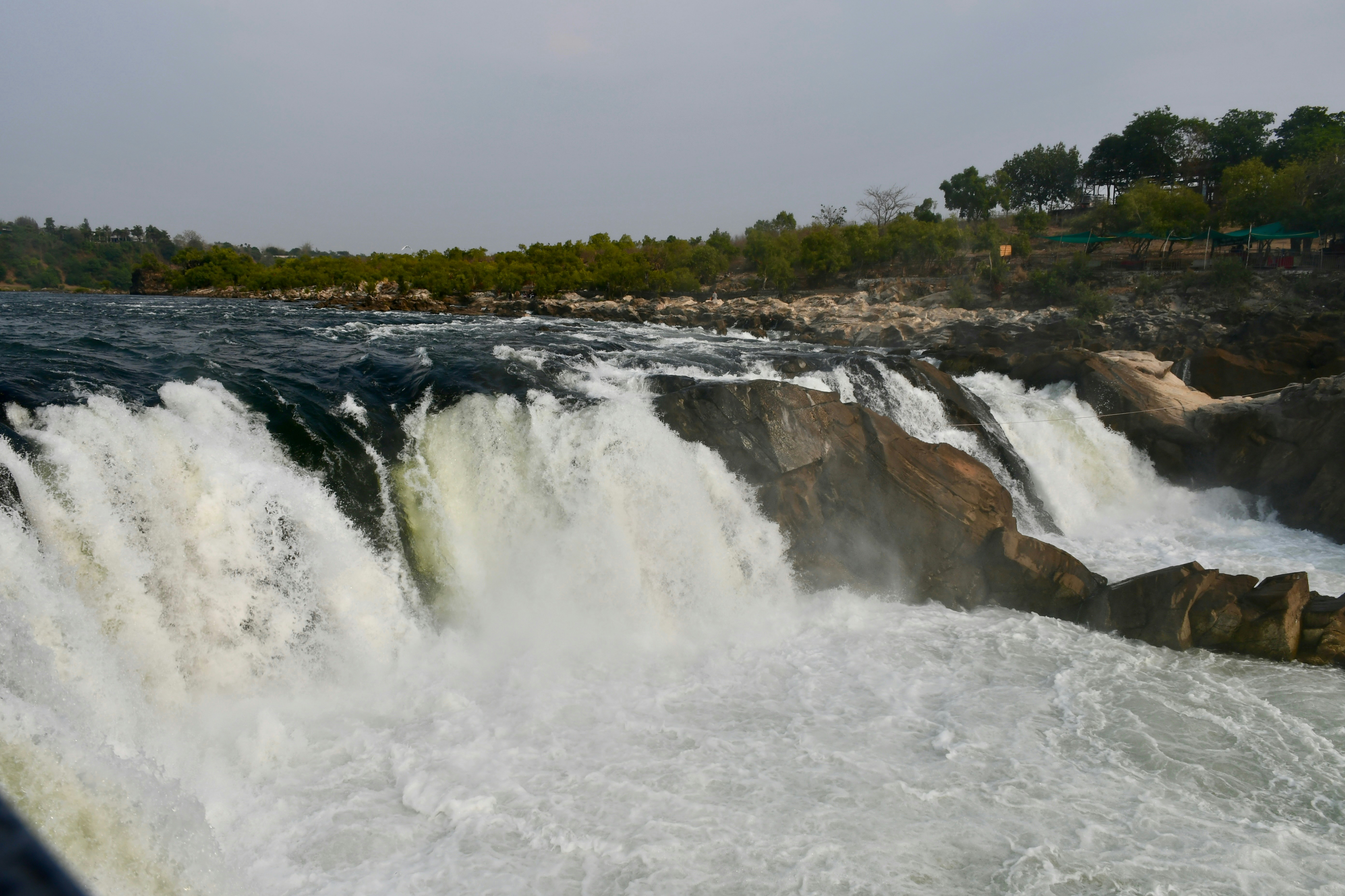 Photo by manoj_poosam