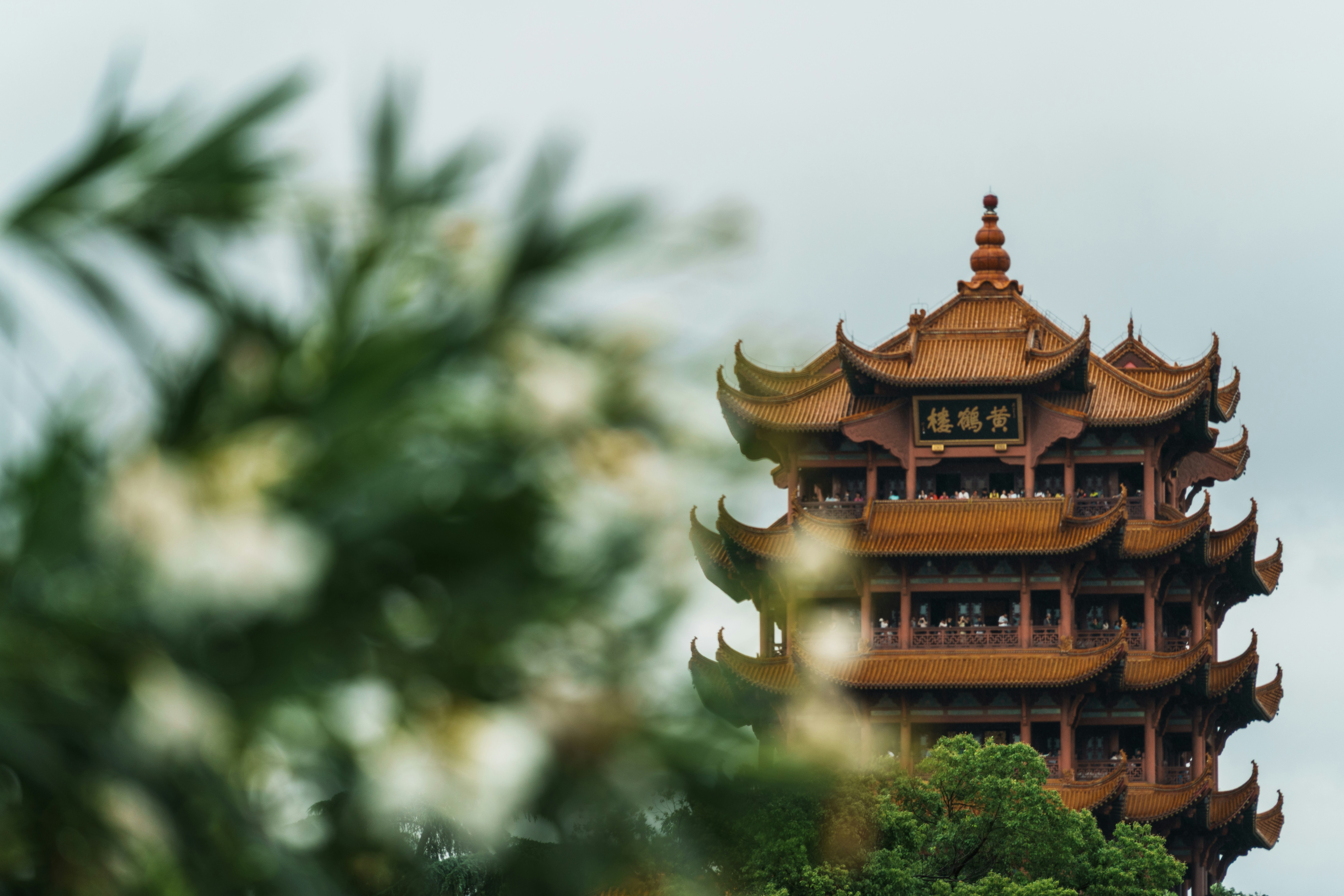 Photo by plasticine66