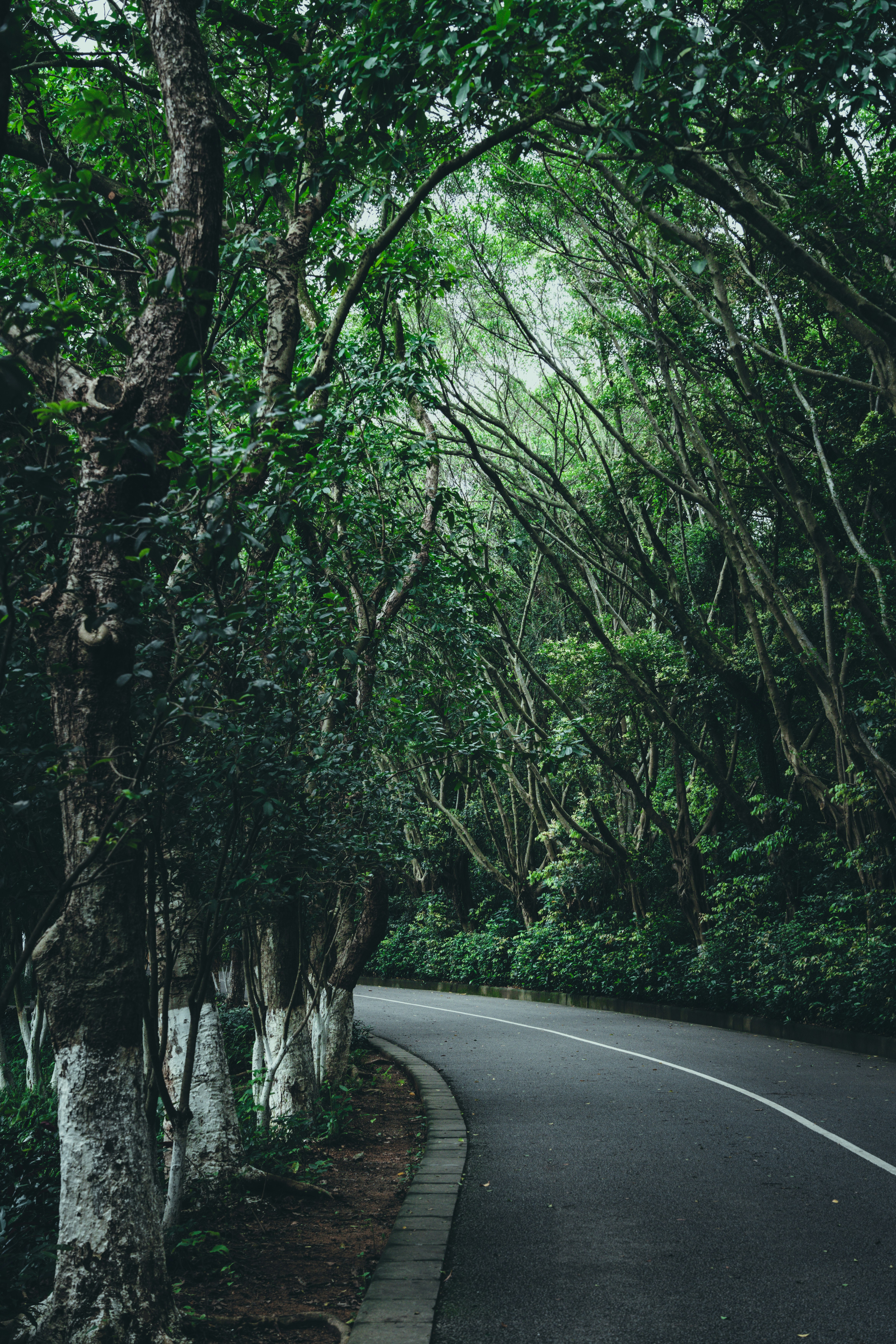 Photo by plasticine66