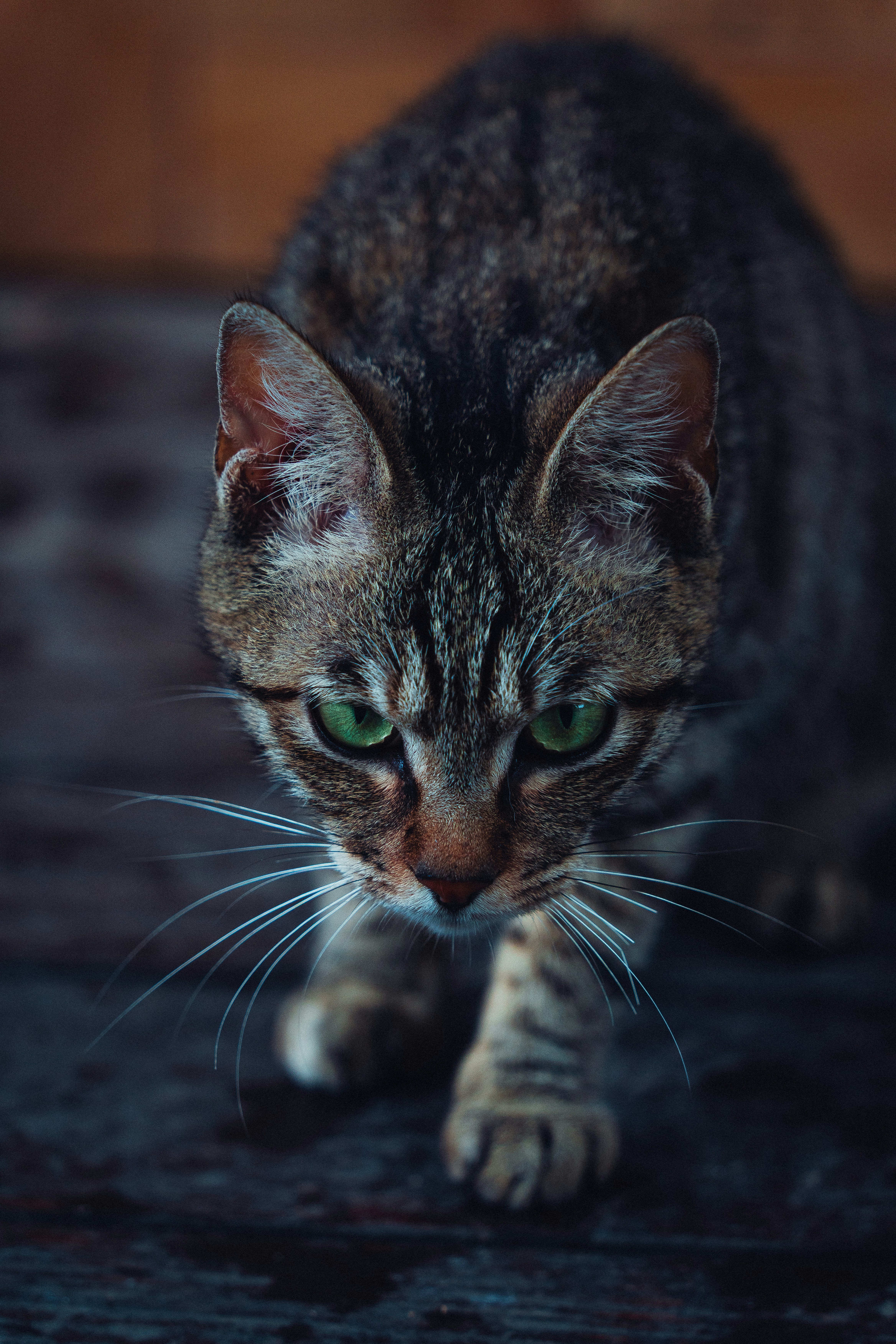 Photo by plasticine66