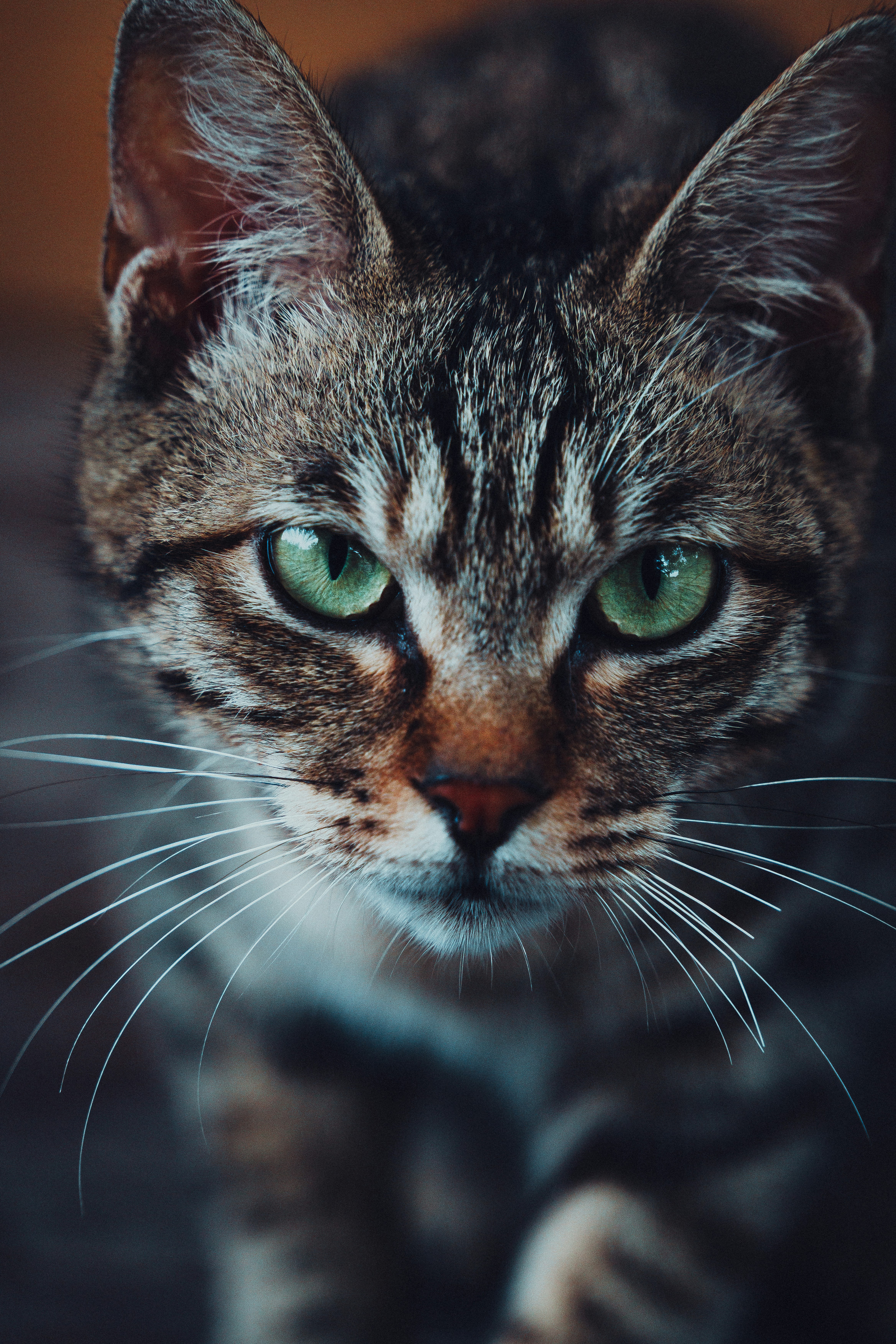 Photo by plasticine66