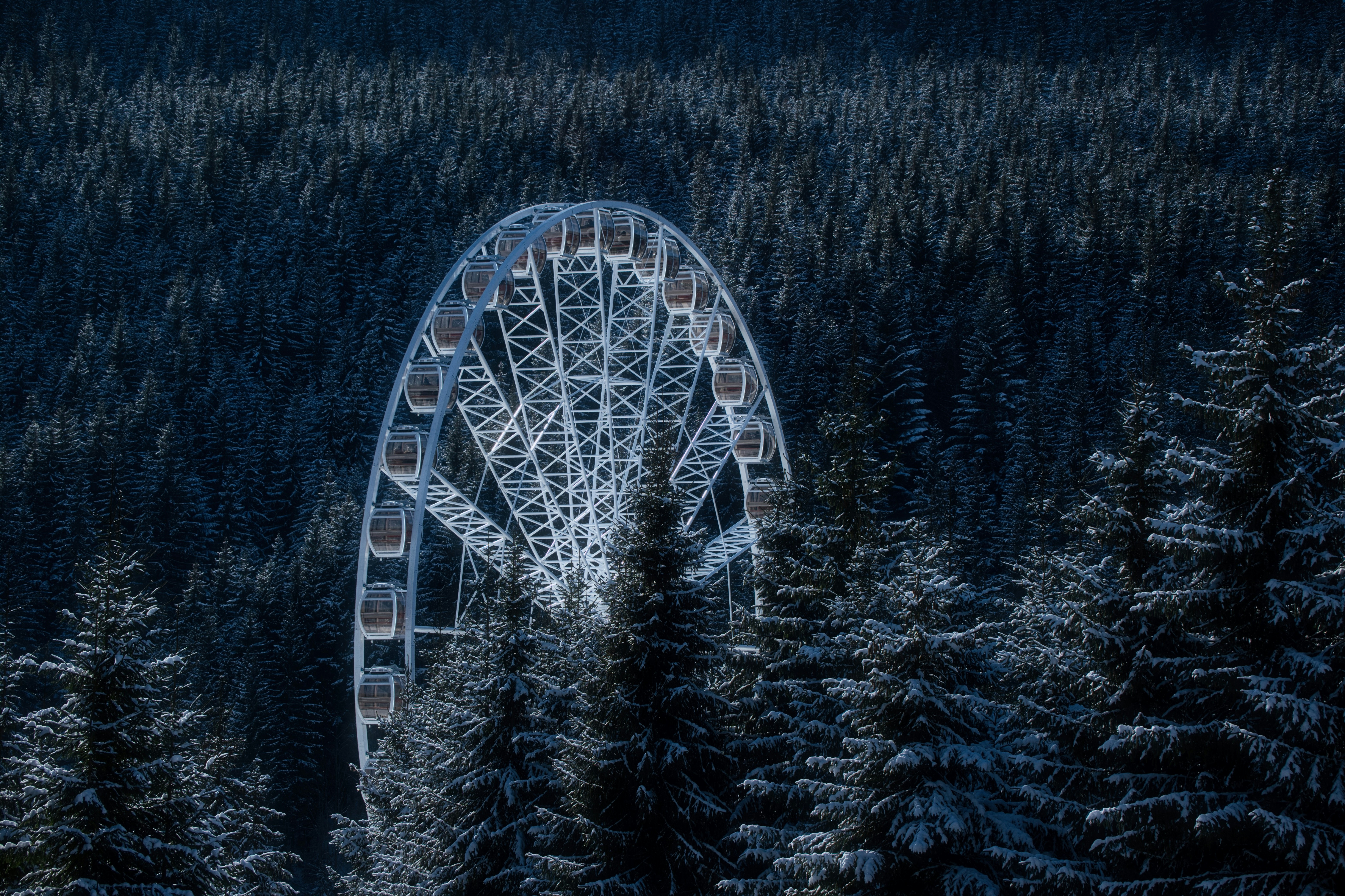 Das Riesenrad steht inmitten verschneiter Bäume.