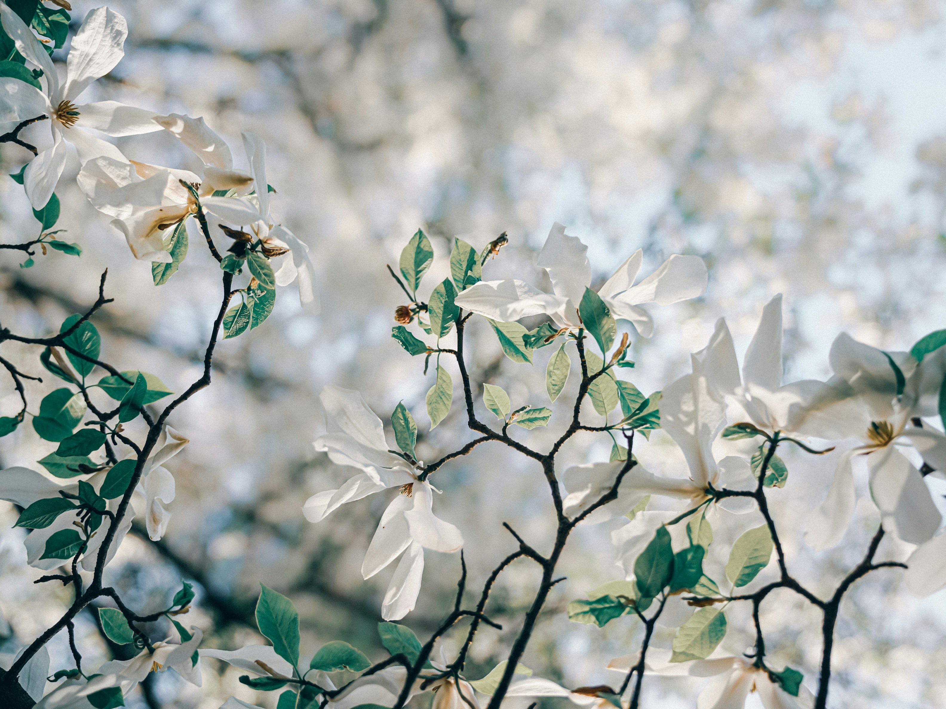 Photo by mineral_of_demon