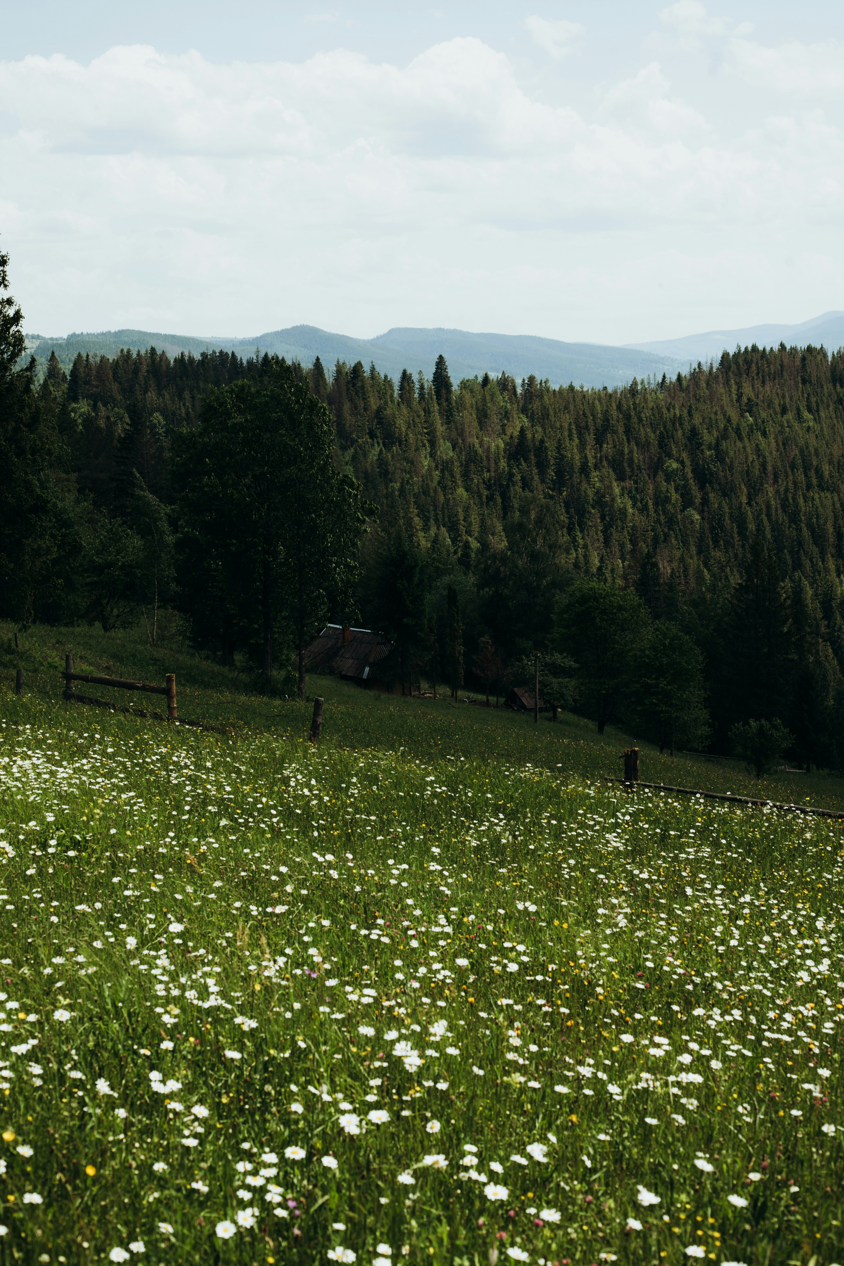 Photo by imondryk