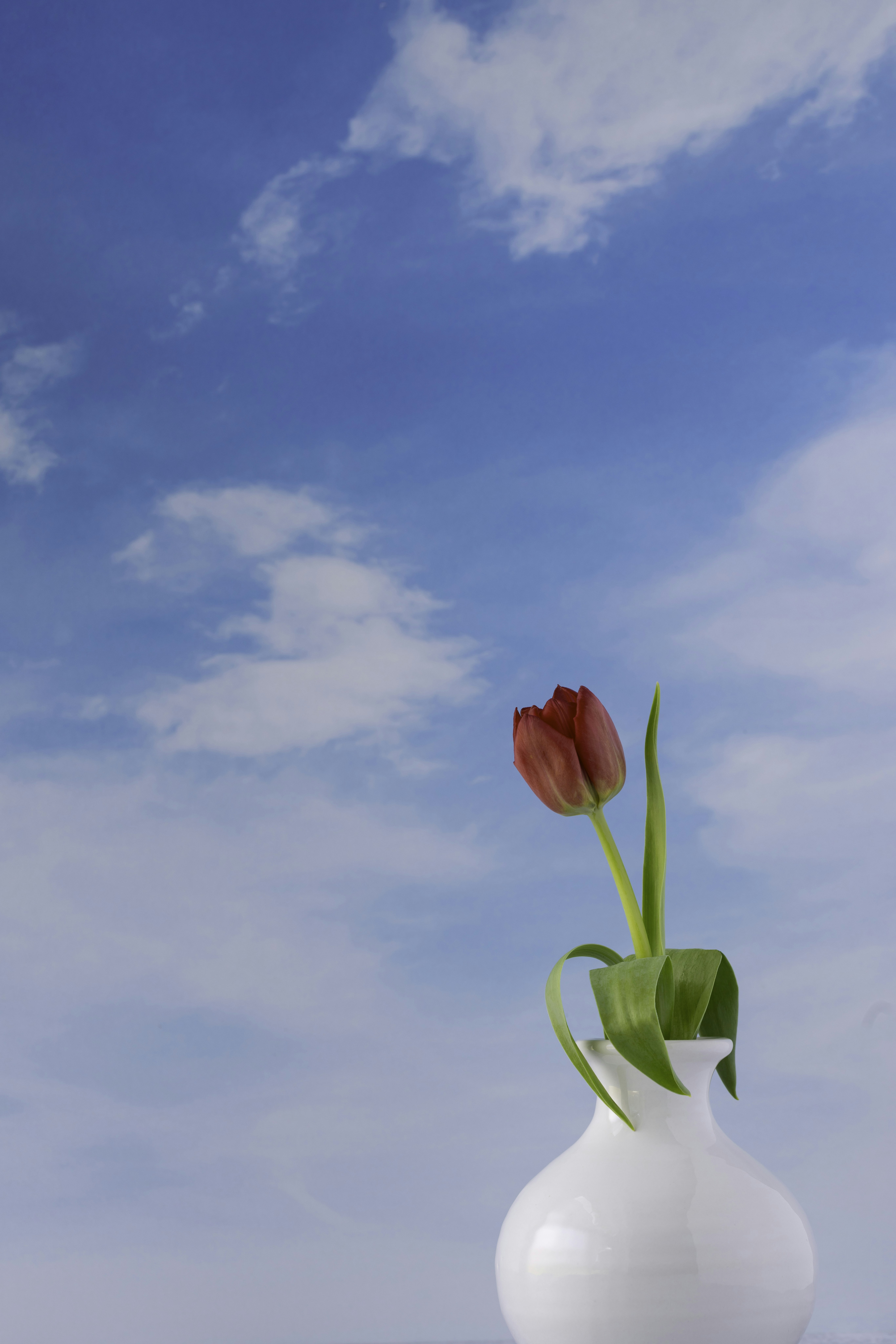 Photo by native7photo