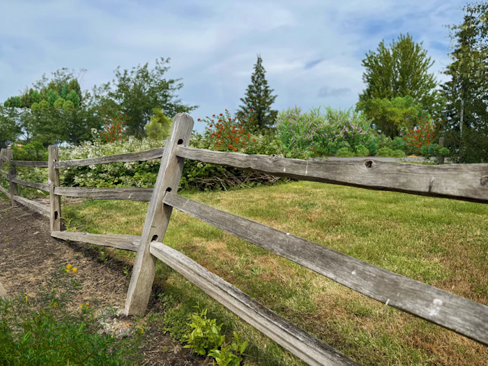 Split rail fence along a grassy yard with trees