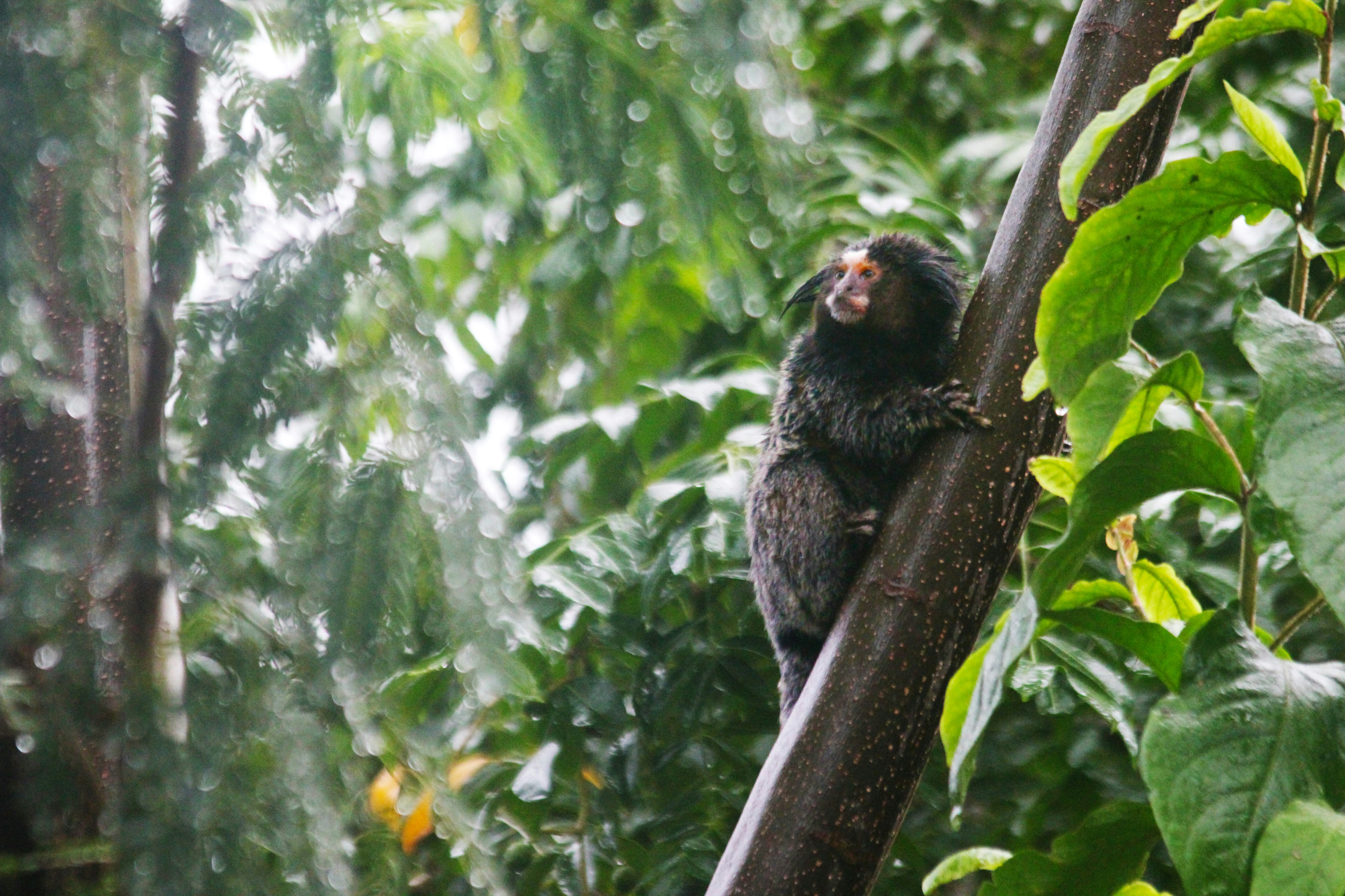 Photo by mirnawabisabi