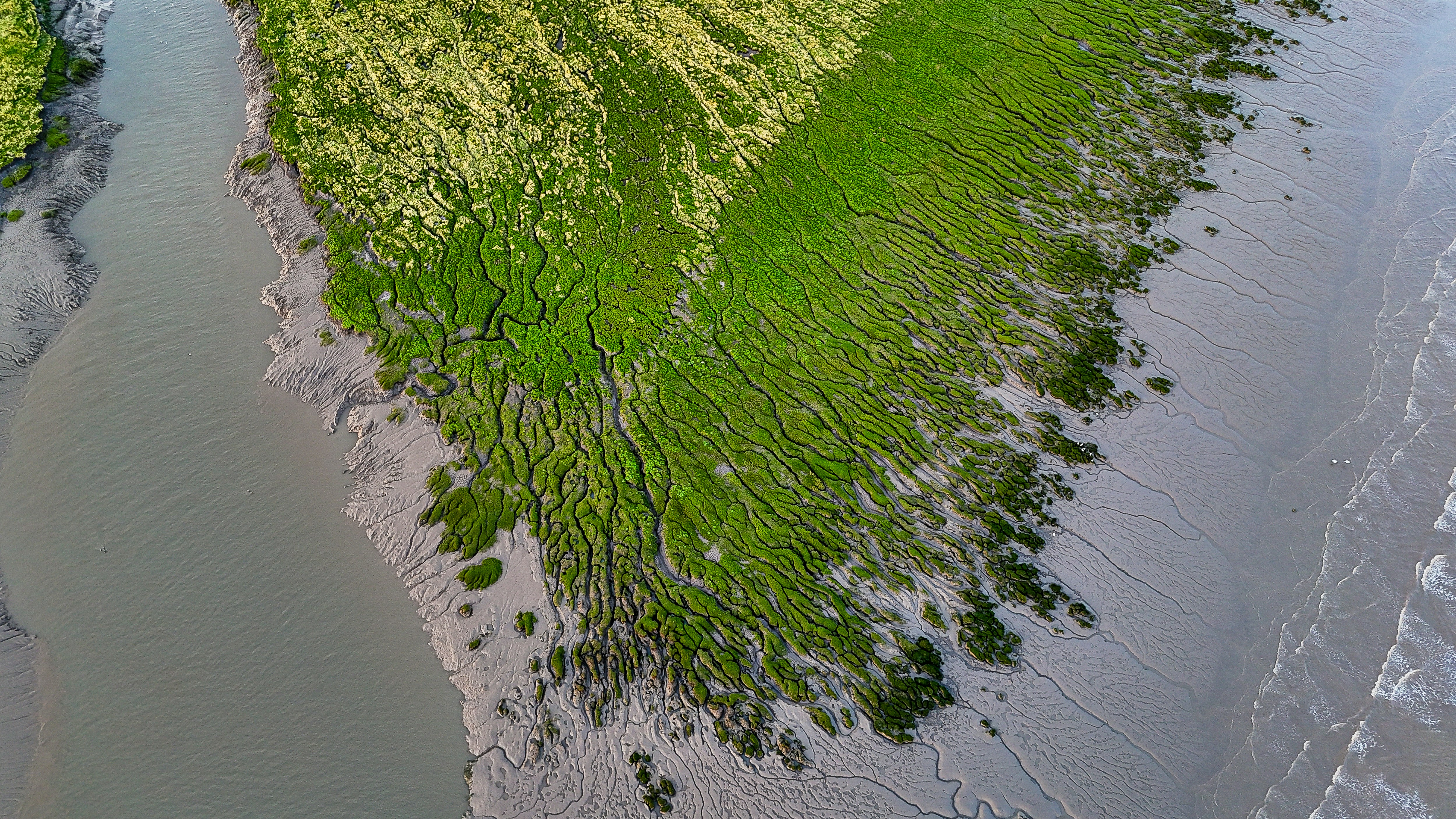 Photo by mikejerskine