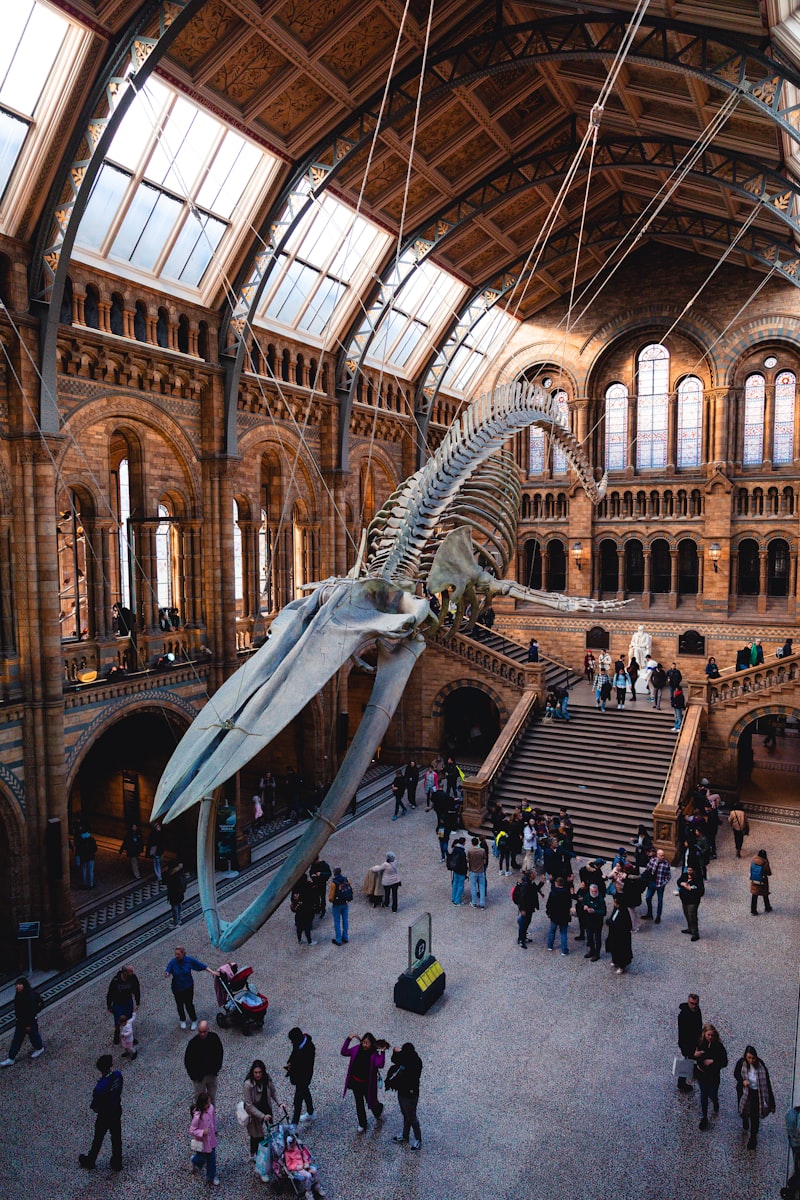 Science Museum London